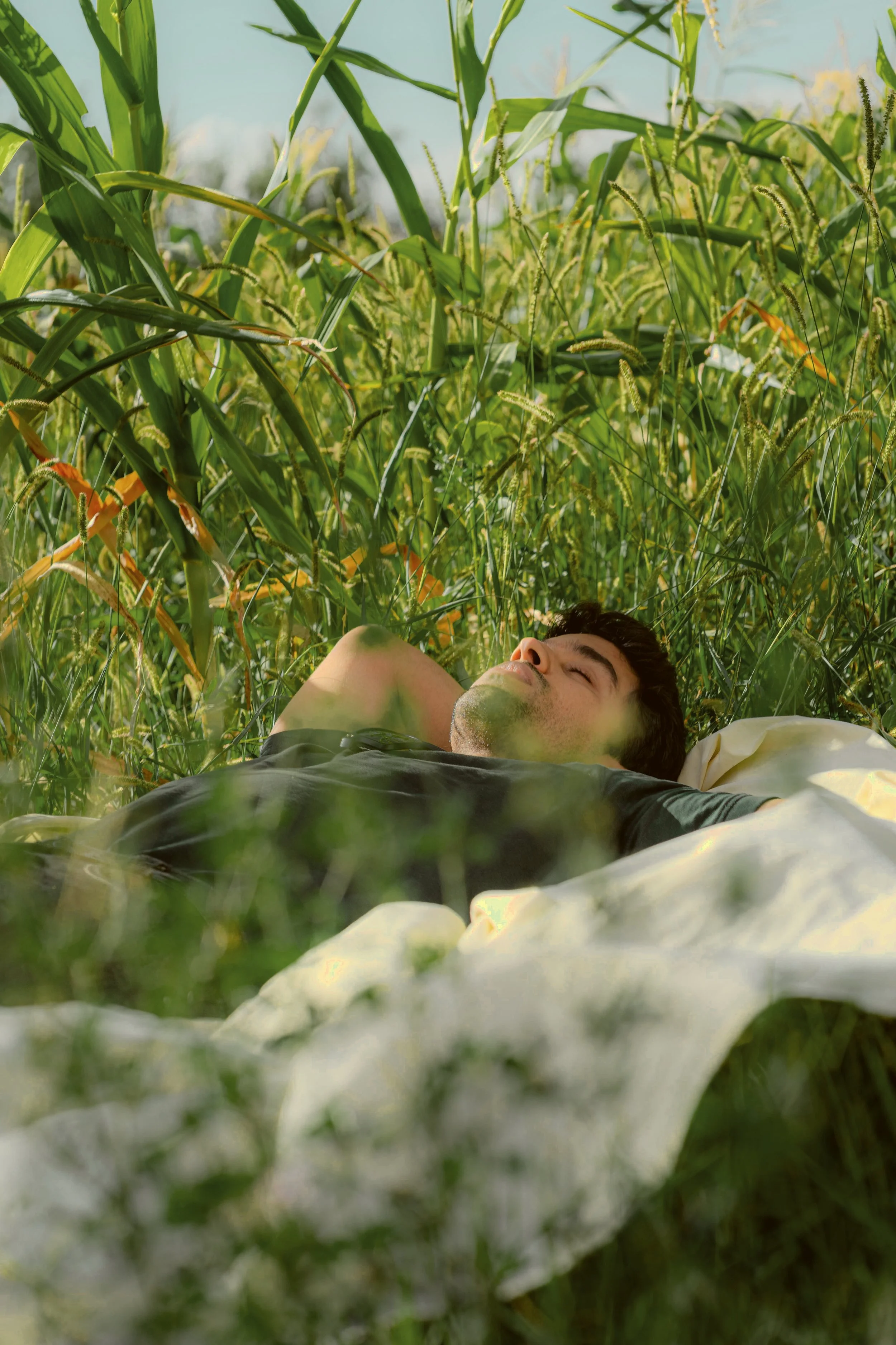 Person resting in a sunlit meadow