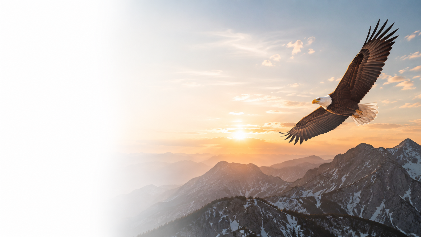 An eagle flying over snow-capped mountain peaks during a sunset.