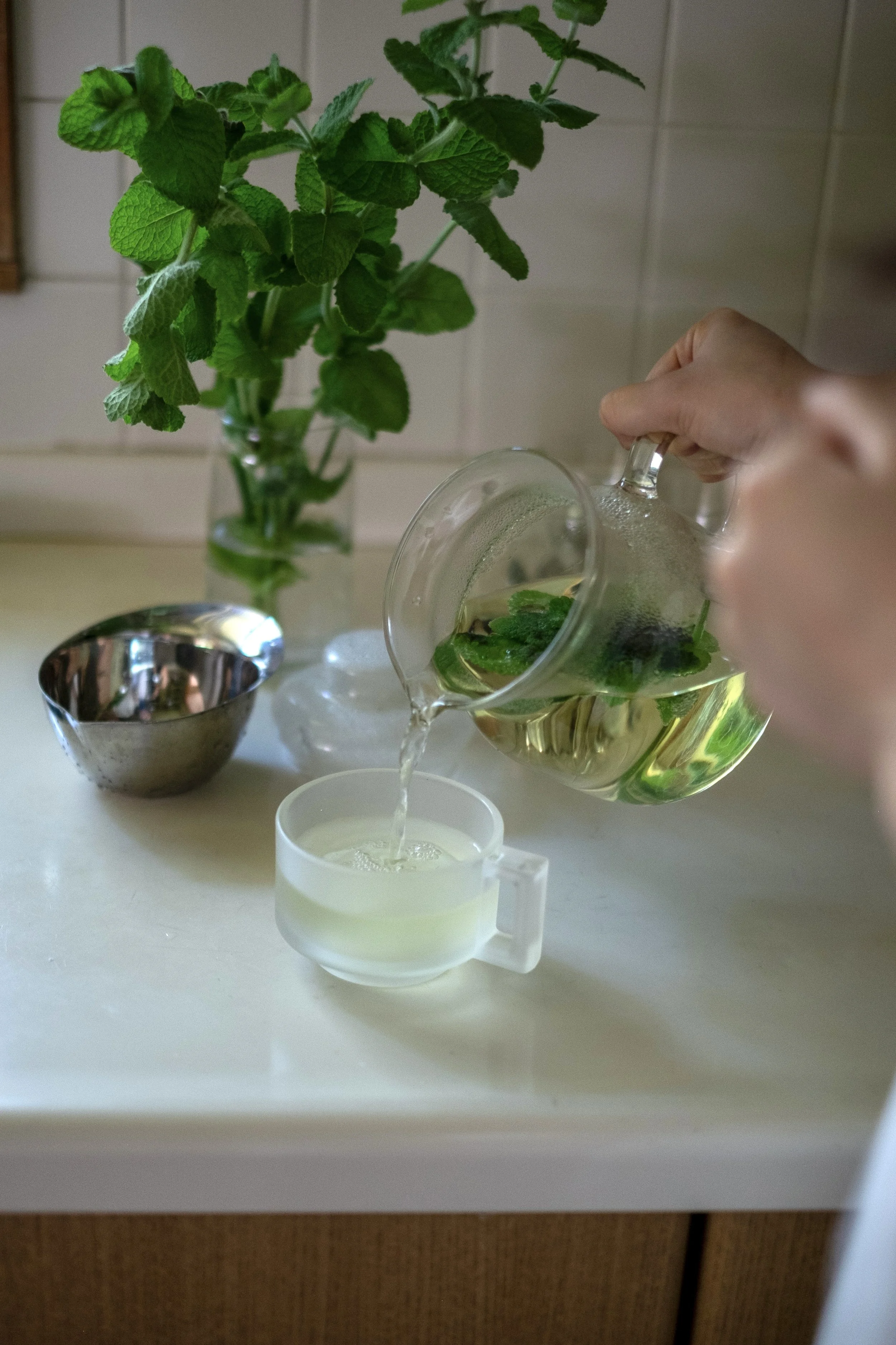 Fresh Mint Tea from the Tomato House
