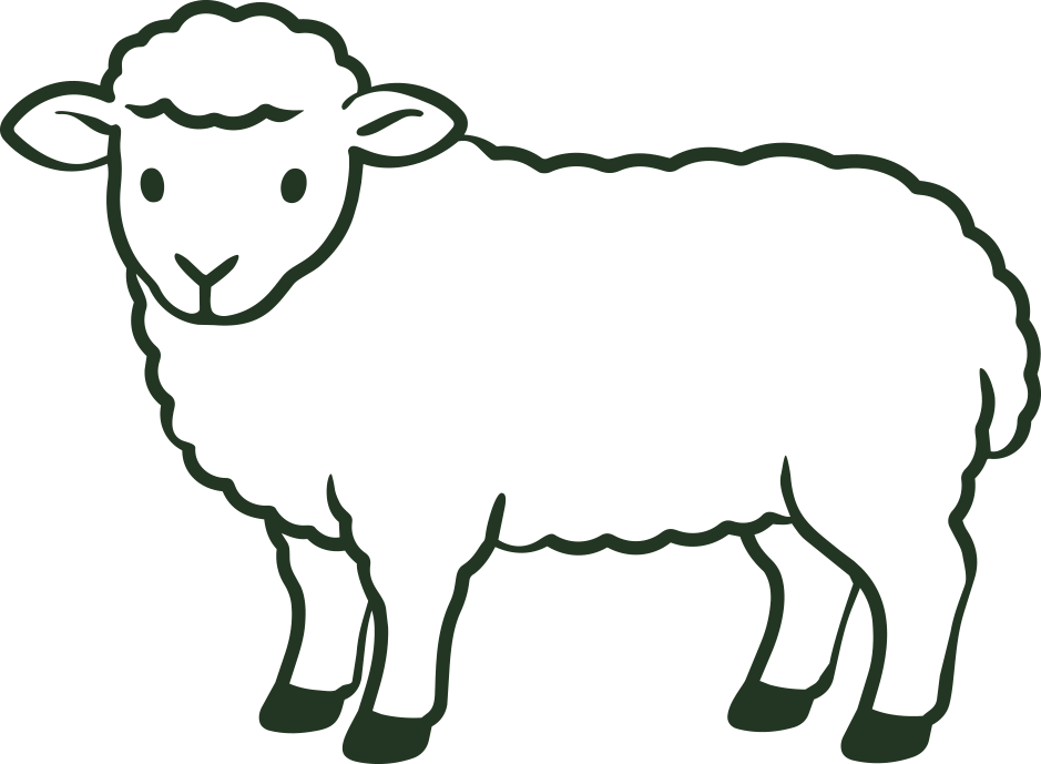 Outline drawing of a sheep with curly wool and small ears