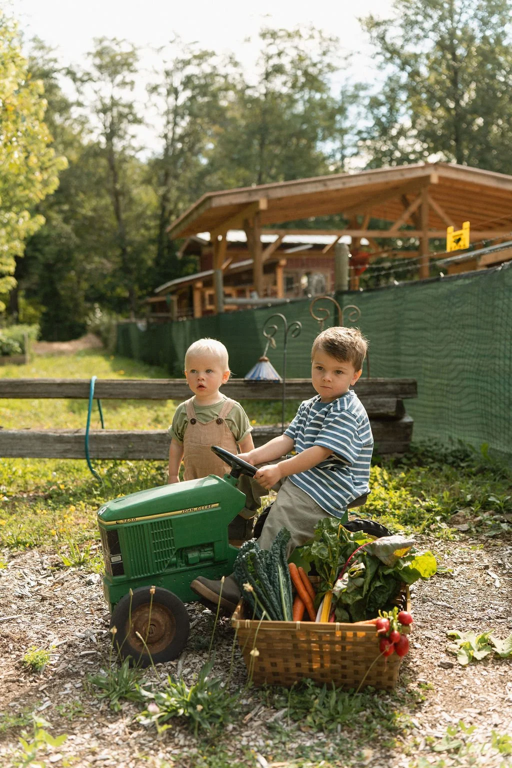 Two young boys outside in a garden, one sitting on a small green tractor and the other standing beside it, with a basket of fresh vegetables nearby. In the background, there is a wooden structure and green trees.