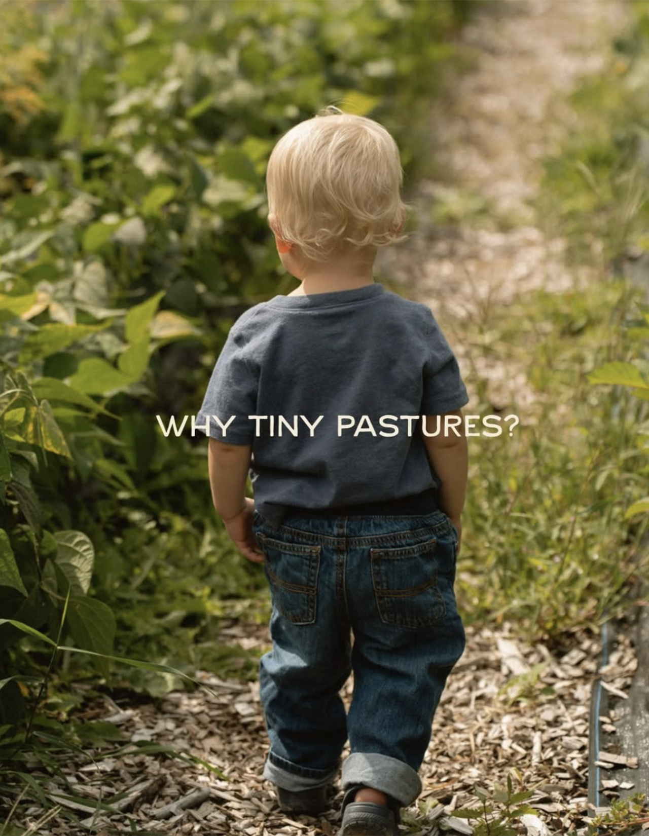 A young boy with blonde hair, wearing a gray t-shirt and jeans, walking along a wooded trail with green foliage on either side, with the text "WHY TINY PASTURES?" overlaid.