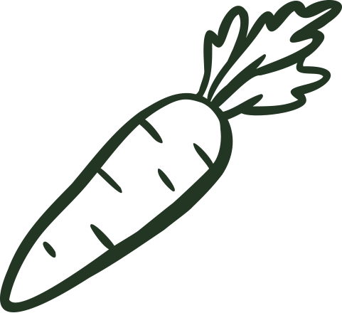 Simple illustration of a carrot with green leaves.