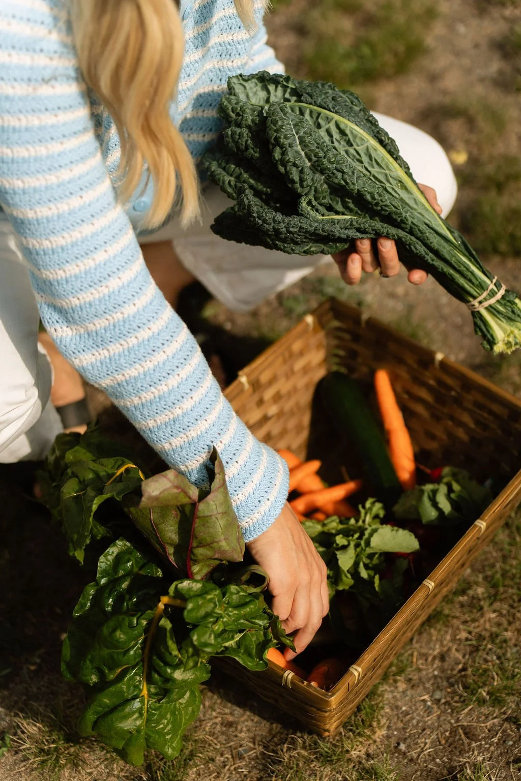 Person collecting fresh greens and carrots from a garden, holding a bunch of kale in the hand.