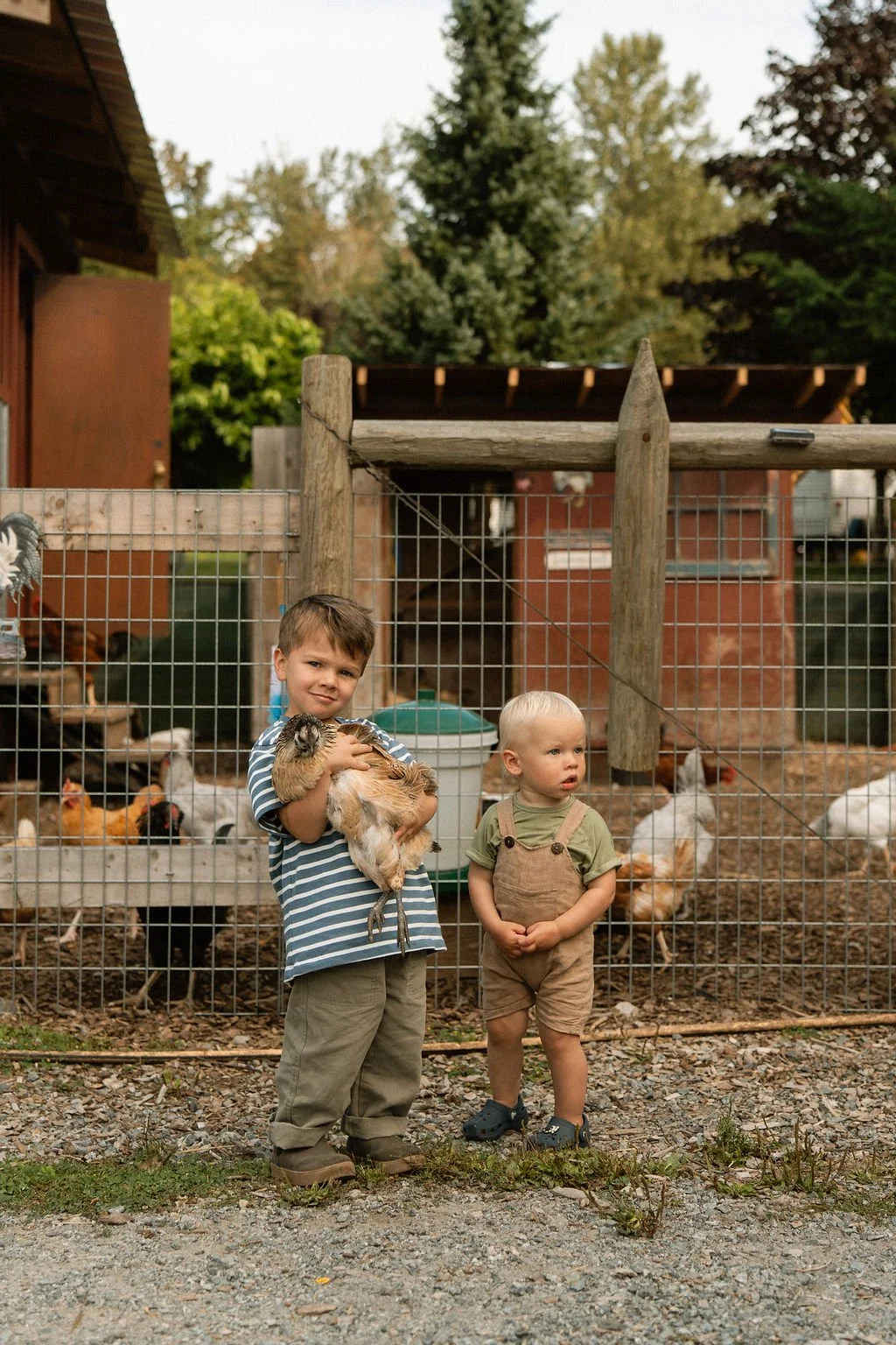 Two young boys standing in front of a farm animal pen with chickens. One boy holds a chicken, and the other looks on. The scene appears to be at a farm or petting zoo.