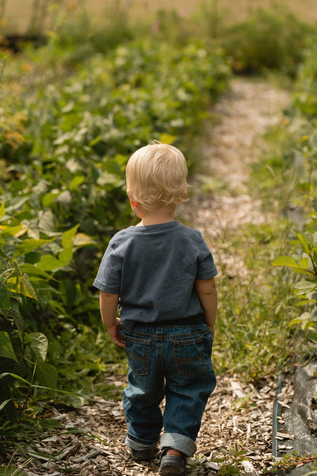 Why Did We Choose The Name: Tiny Pastures? 