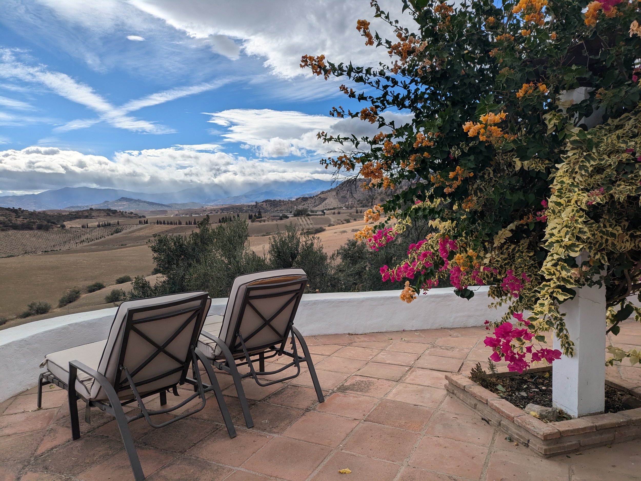 A patio with two chairs on a tiled floor, overlooking a scenic landscape of rolling hills, vineyards, and mountains under a partly cloudy sky. A large flowering plant with yellow, orange, and pink blossoms is on the right side.