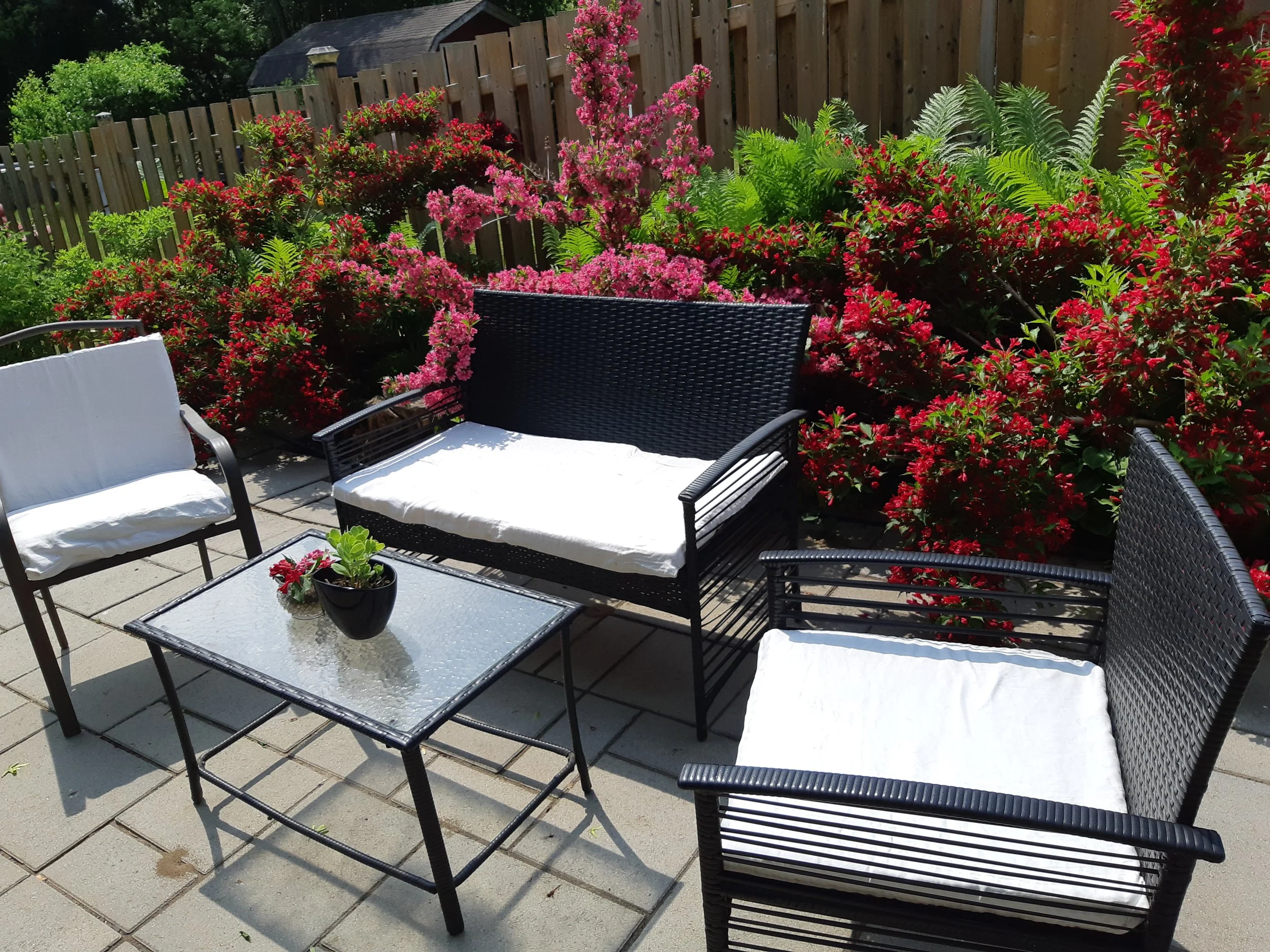 An outdoor patio scene with black wicker chairs and white cushions, a glass-top table with a small potted plant, surrounded by blooming pink and red flowers, green ferns, and a wooden privacy fence, with trees and a building in the background.