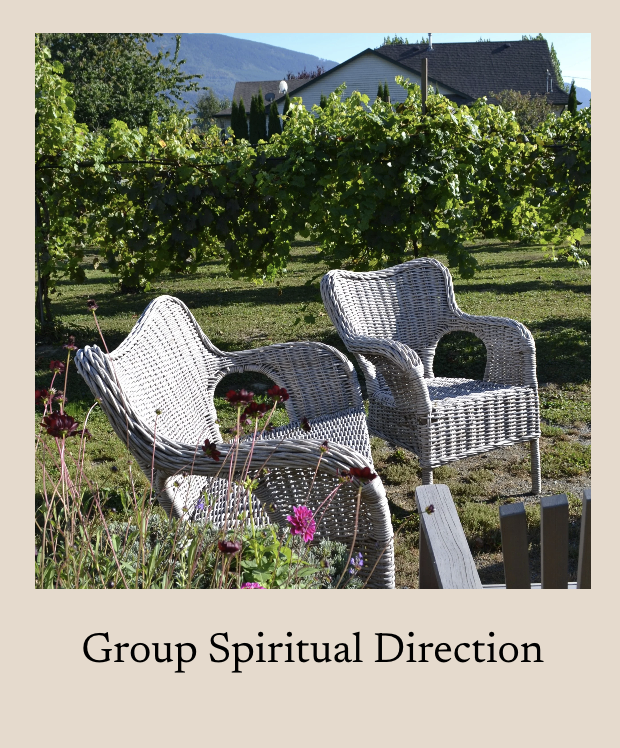 Two white wicker chairs sitting outside in a garden with flowering plants, overlooking a vineyard with grapevines, houses, and mountains in the background.