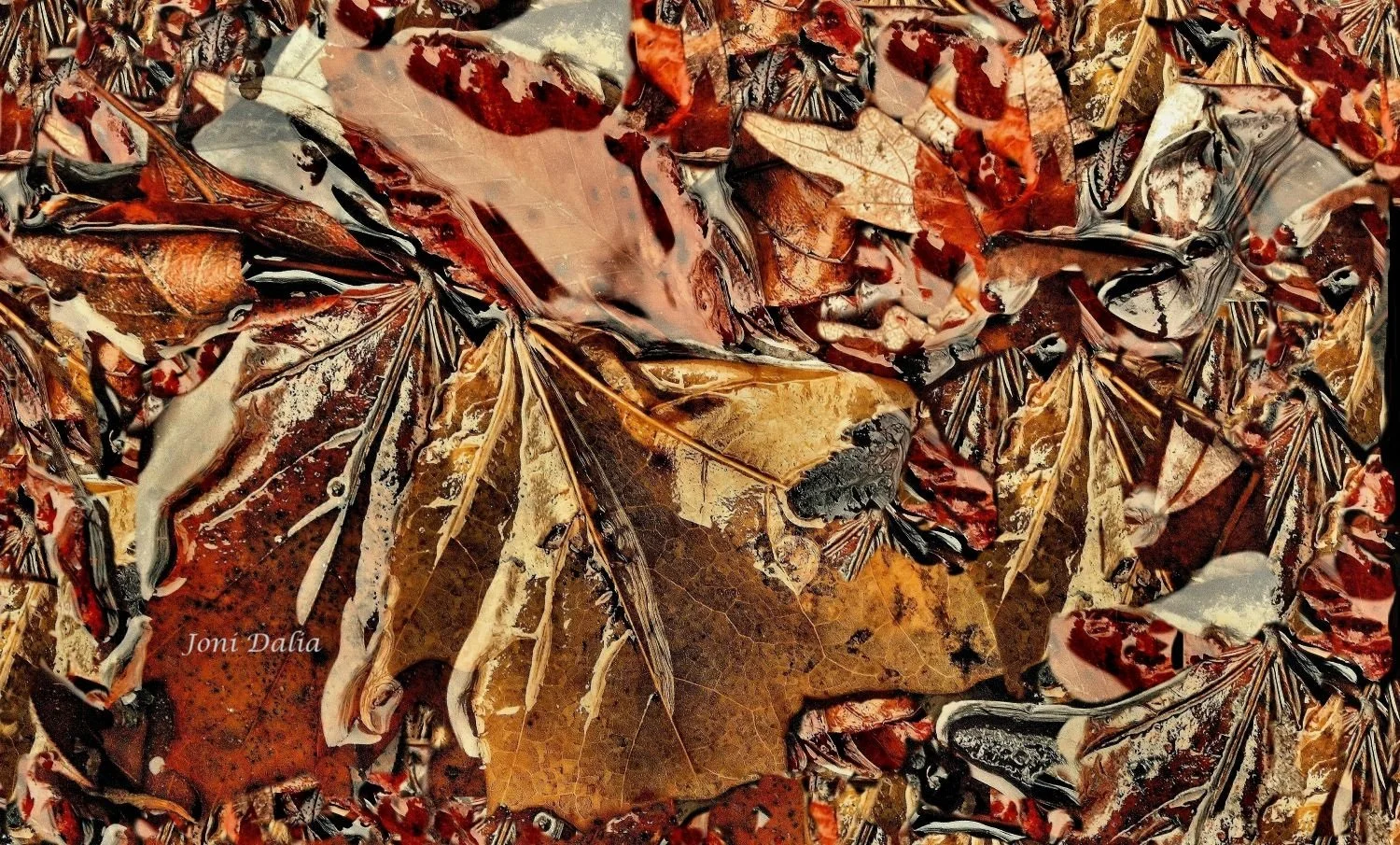 leaves_6.jpg
