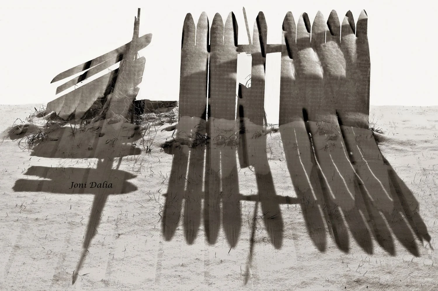 Black_White_8.jpg