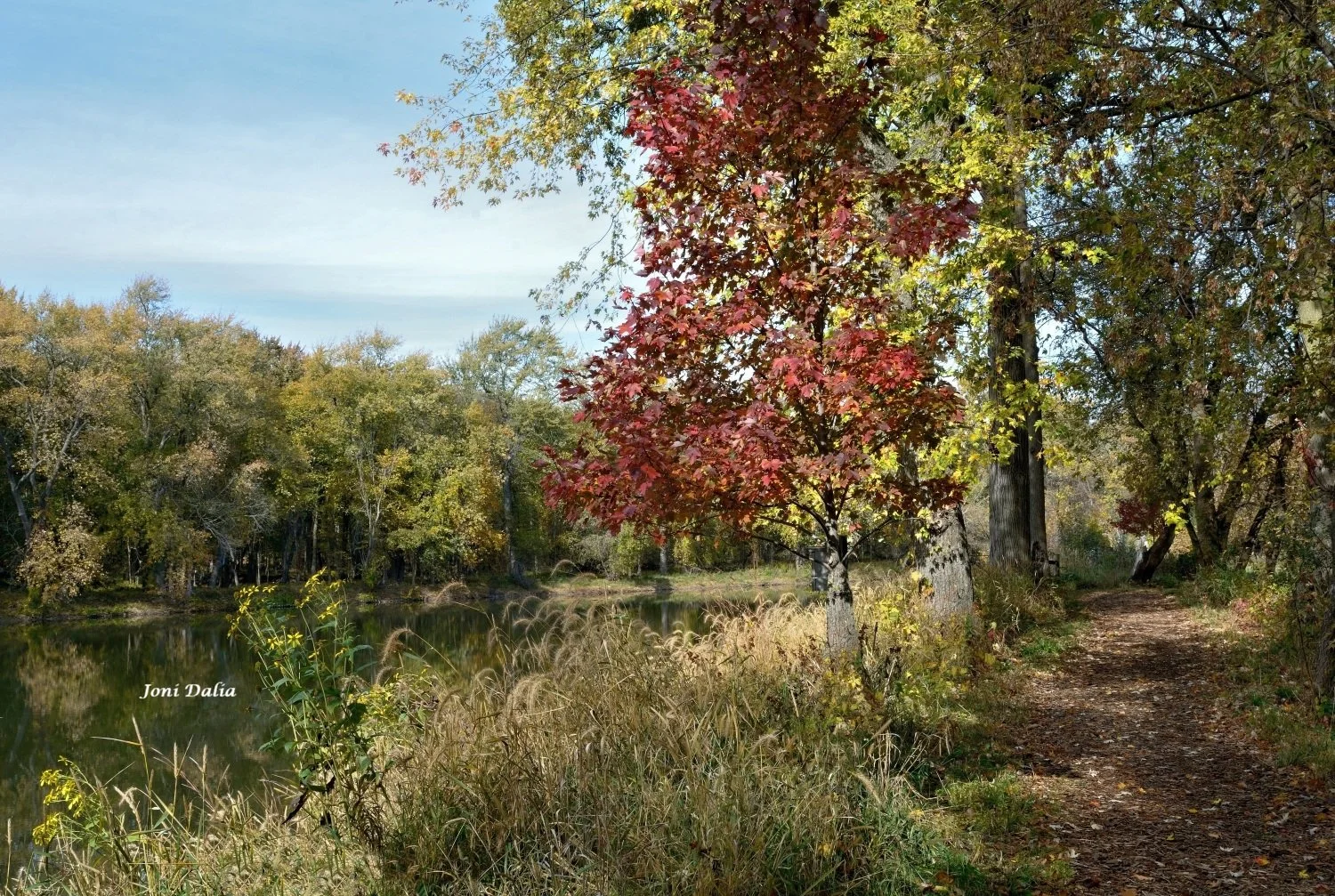 Landscape_17.jpg