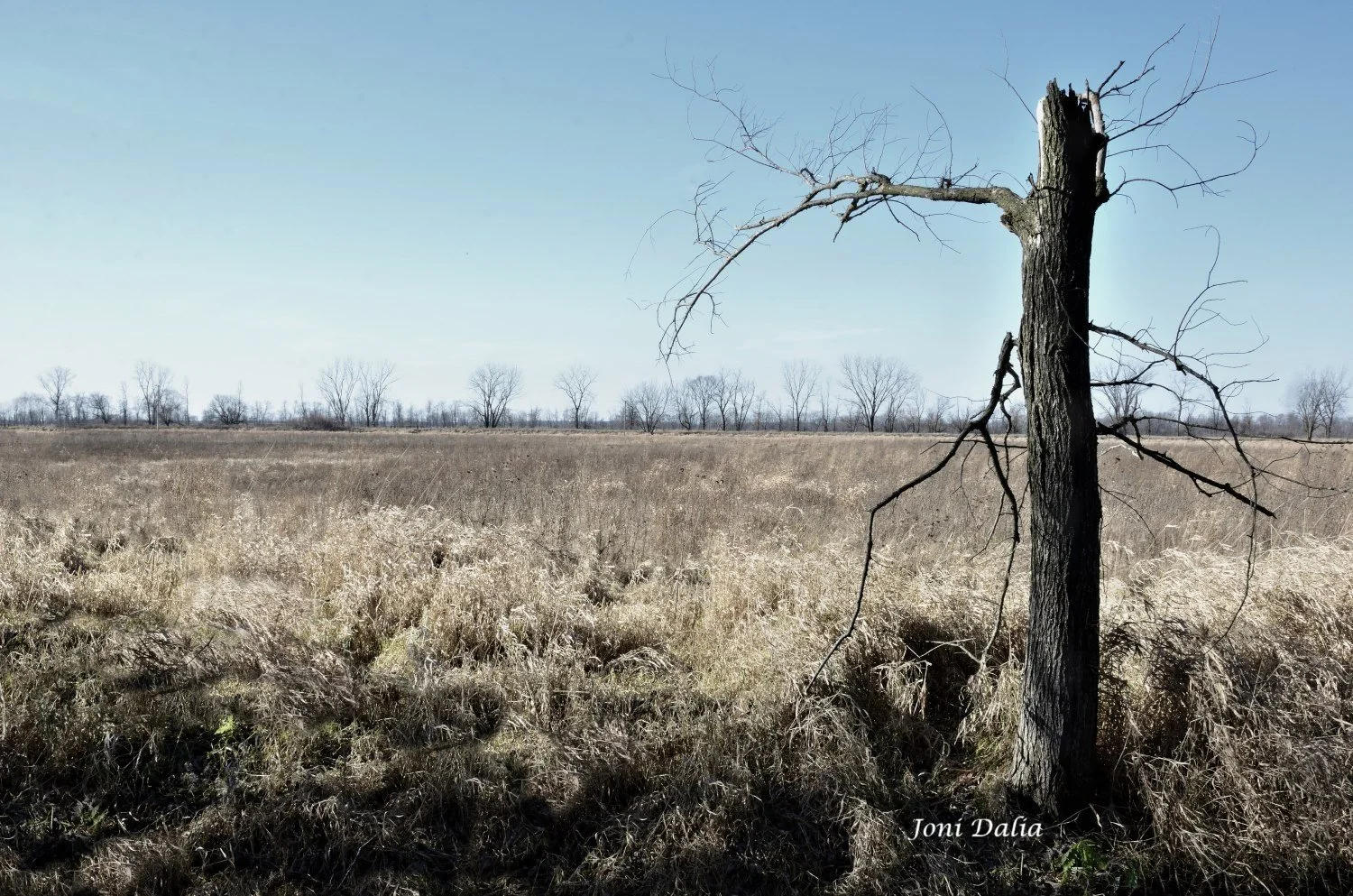 Landscape_12.jpg
