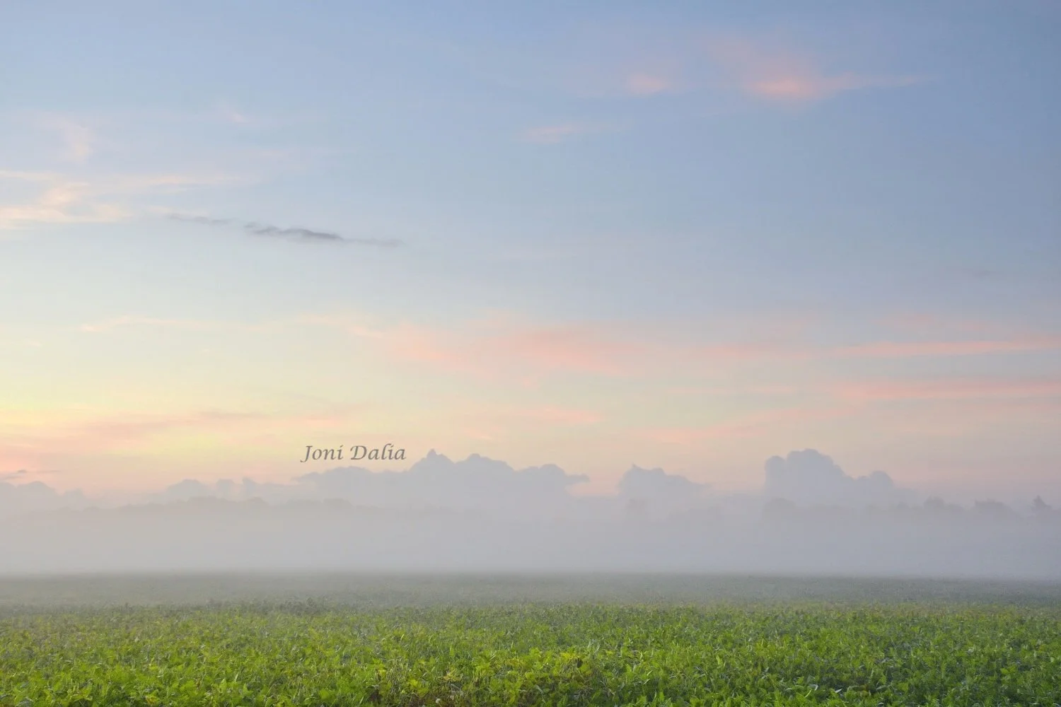 Landscape_3.jpg