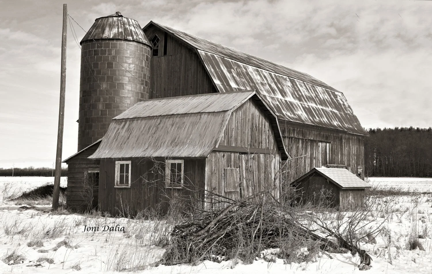 Black_White_19.jpg