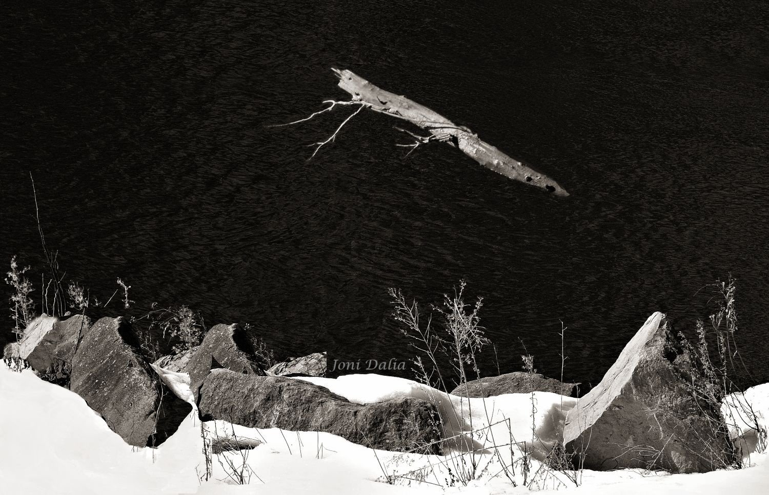 Black_White_3.jpg
