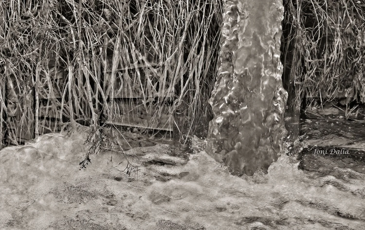 Black_White_11.jpg