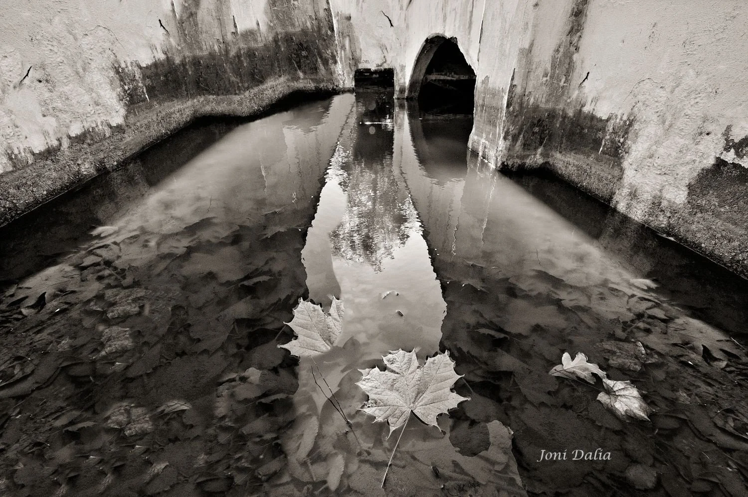 Black_White_13.jpg