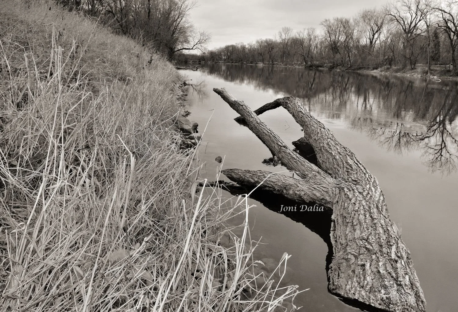 Black_White_16.jpg