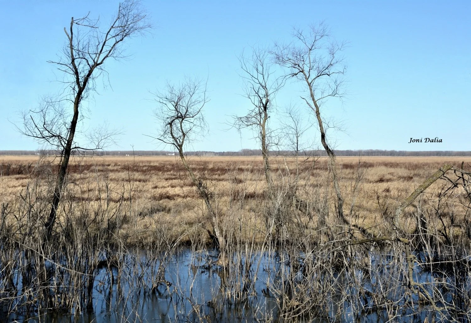 Landscape_20.jpg