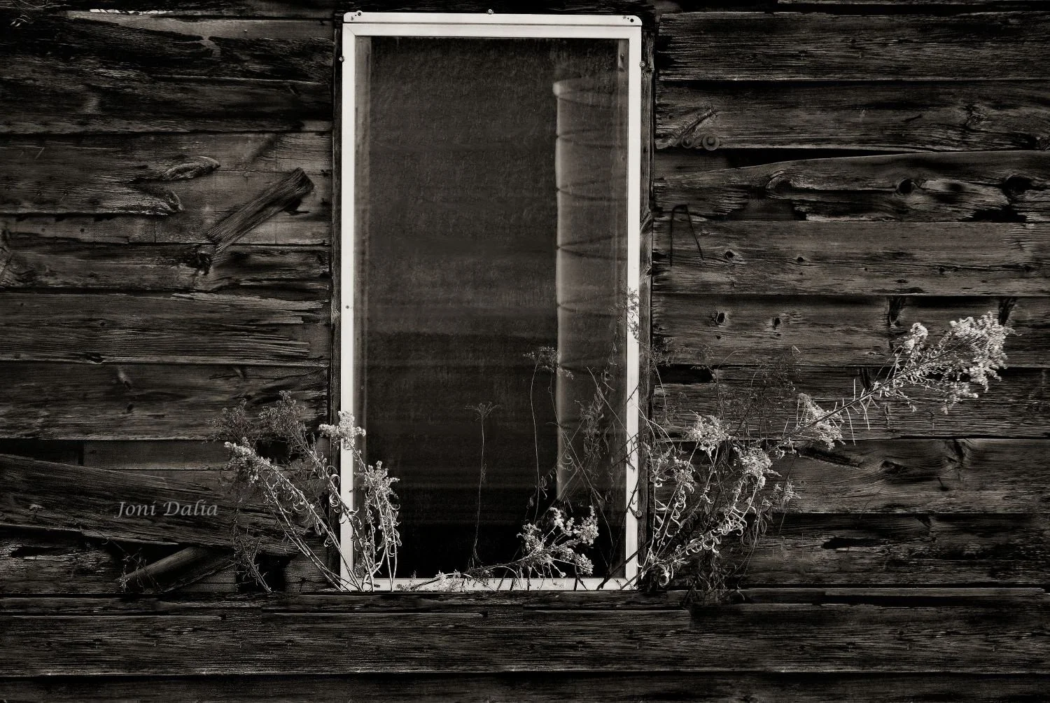 Black_White_7.jpg