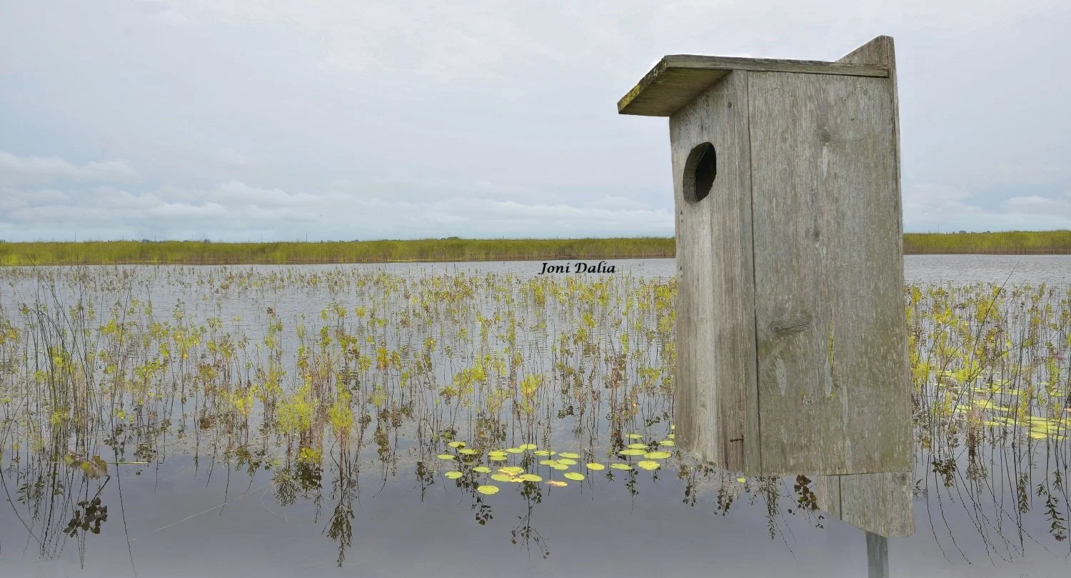 Landscape_14.jpg