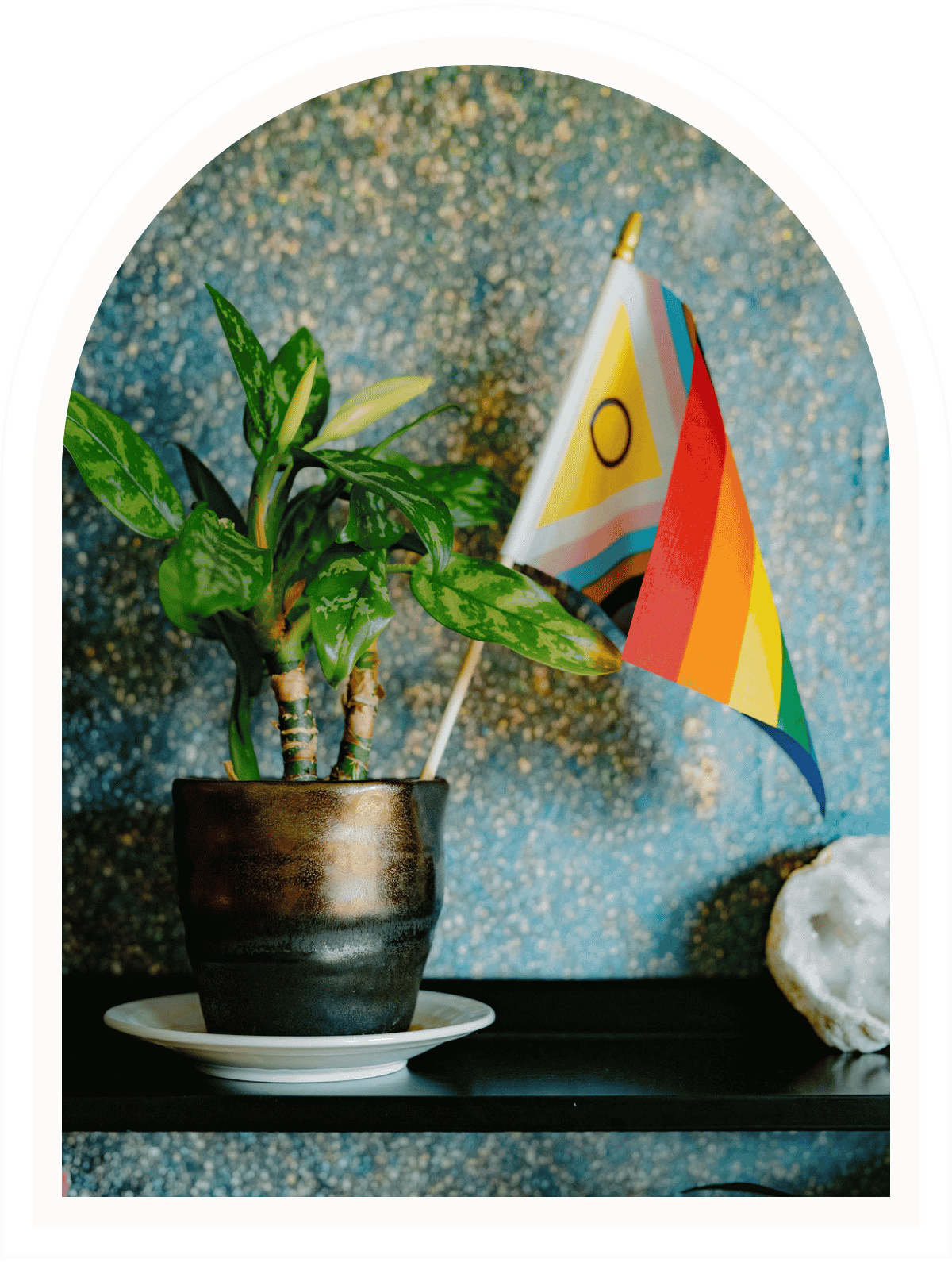 Pride and Progress Pride flags beside a green plant in a therapy office