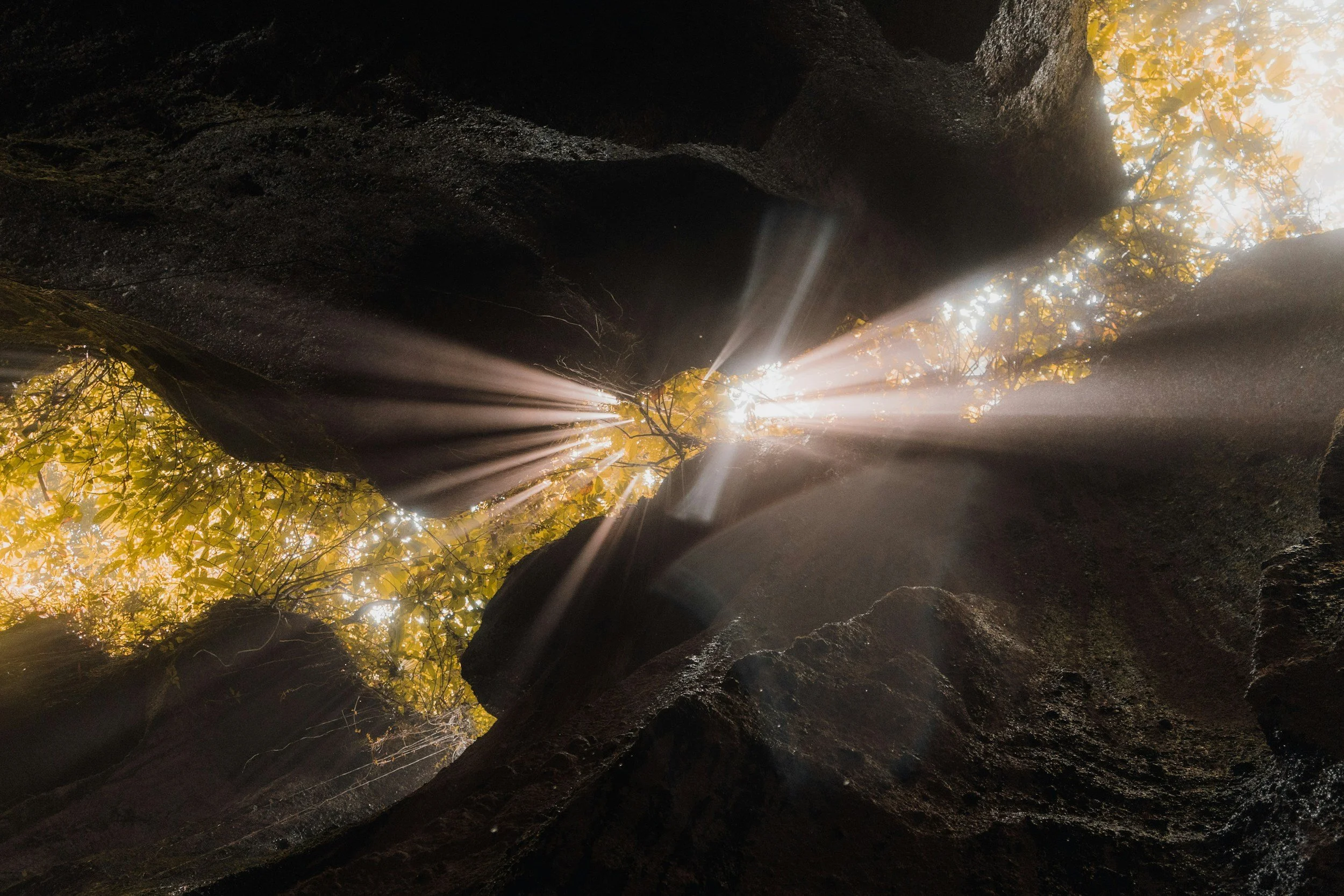 Sunbeams shining through golden autumn leaves above dark, textured rock formations