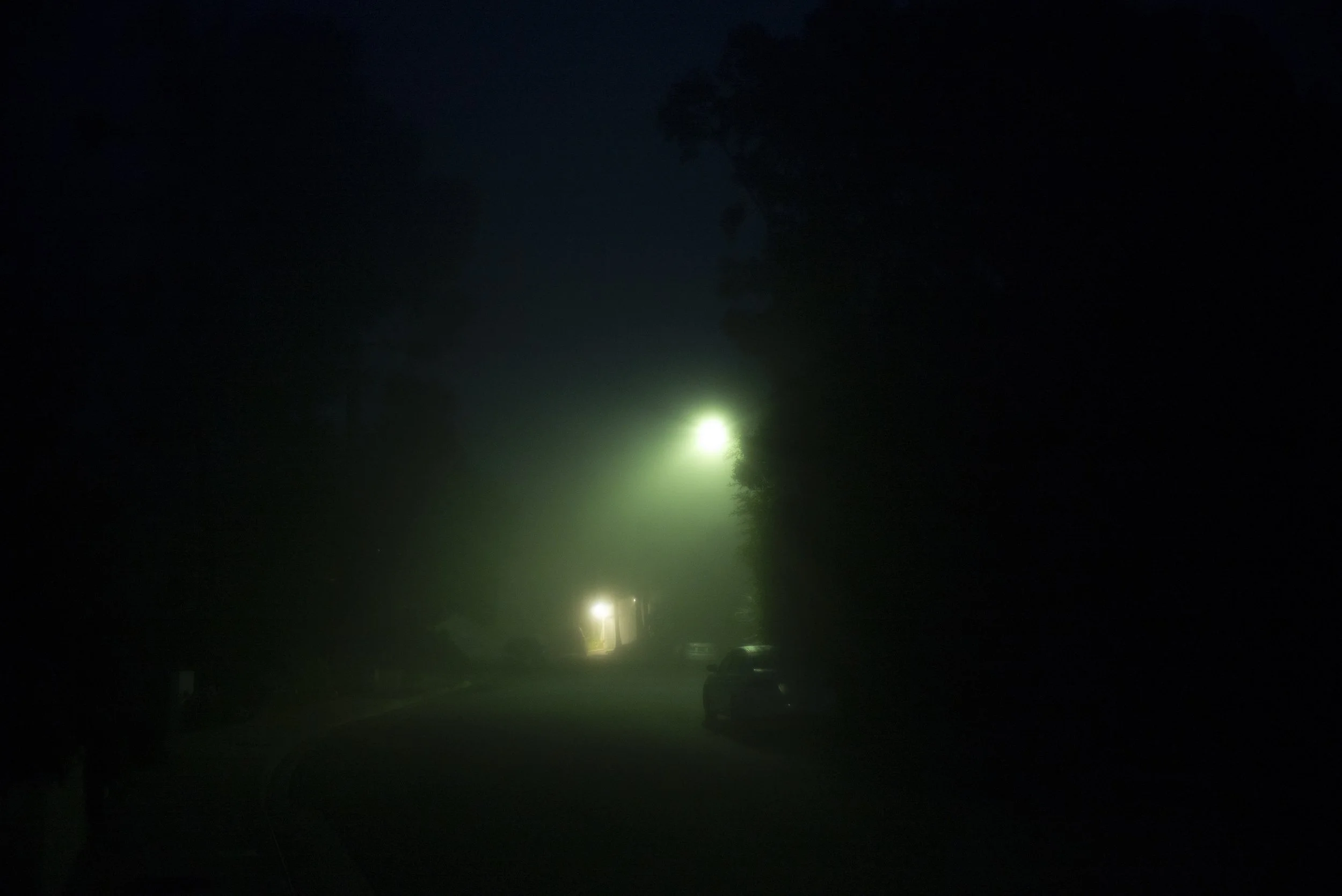 Fog copy.jpg