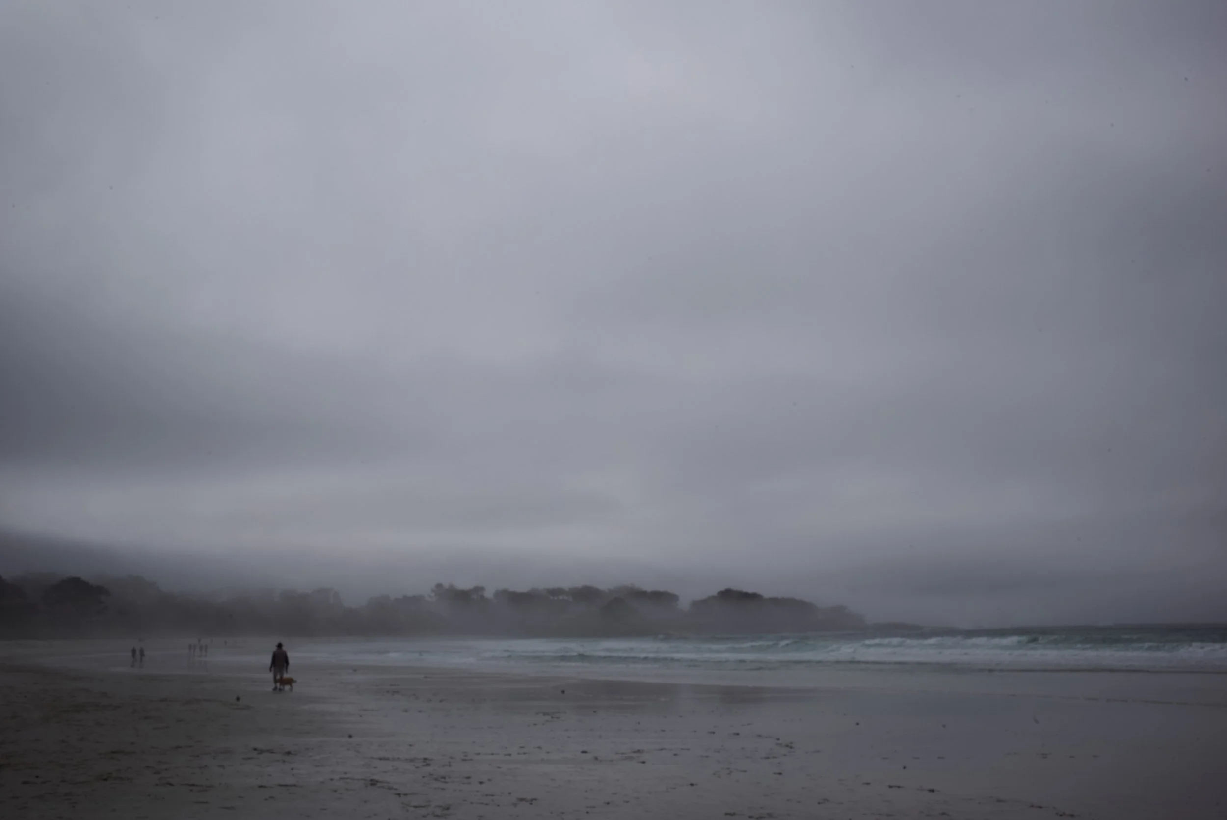 L1002655-2.jpg