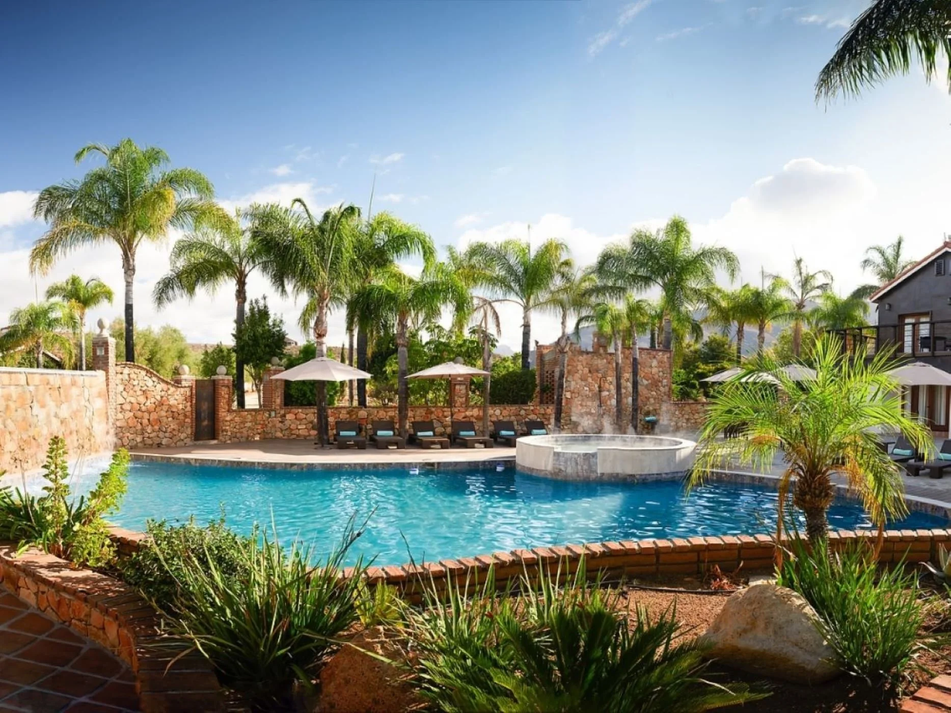 A swimming pool surrounded by palm trees, lounge chairs, umbrellas, and a stone wall in a sunny backyard with blue sky and white clouds.