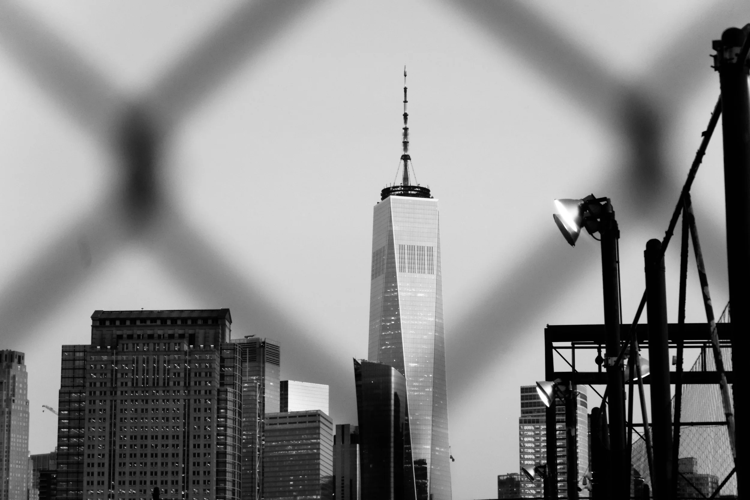 L2650403.jpg