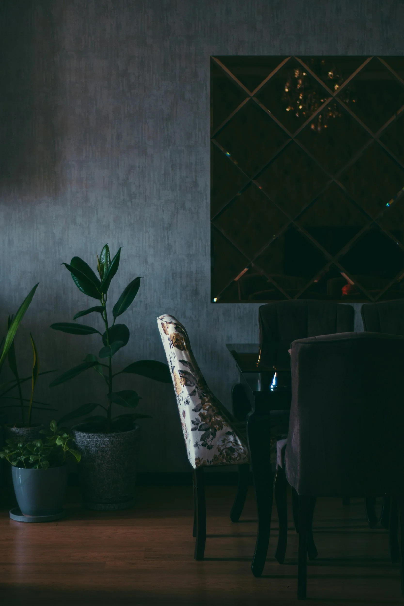 A dining area with a decorative mirrored wall, a potted plant, and several chairs around a table, with dark lighting.
