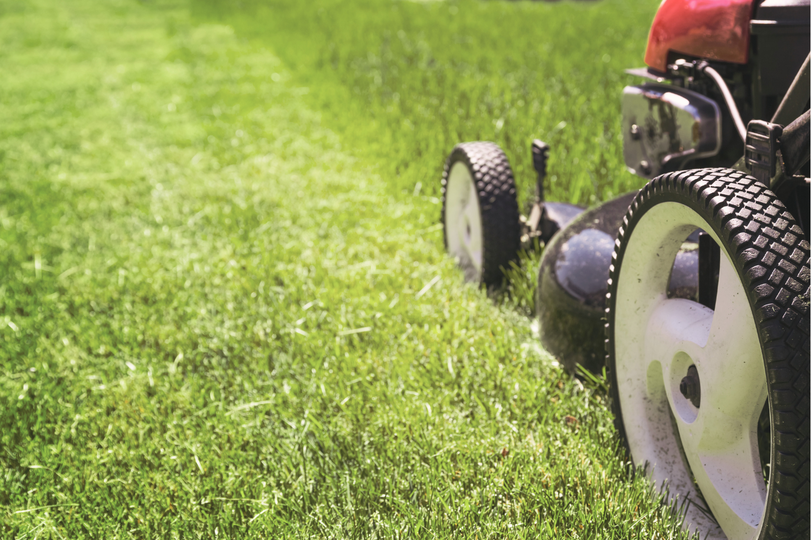 Landscaping Services with Lawnmower
