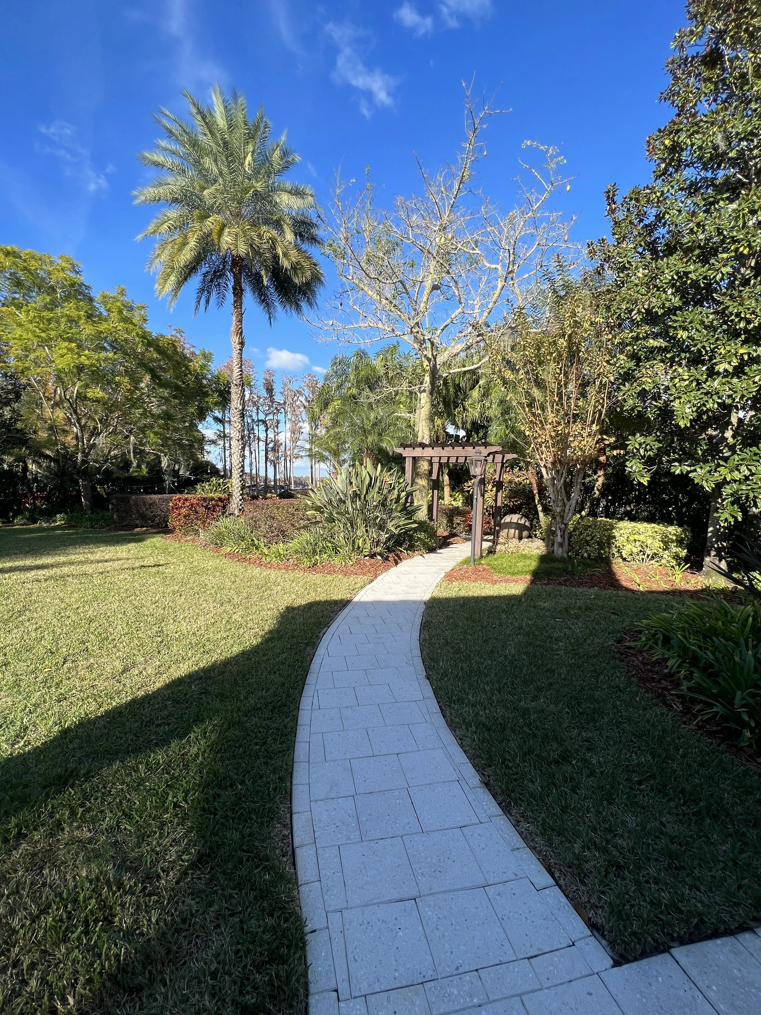 A garden with a curved paved pathway, lush green grass, and various trees including a tall palm and a leafless tree against a blue sky.