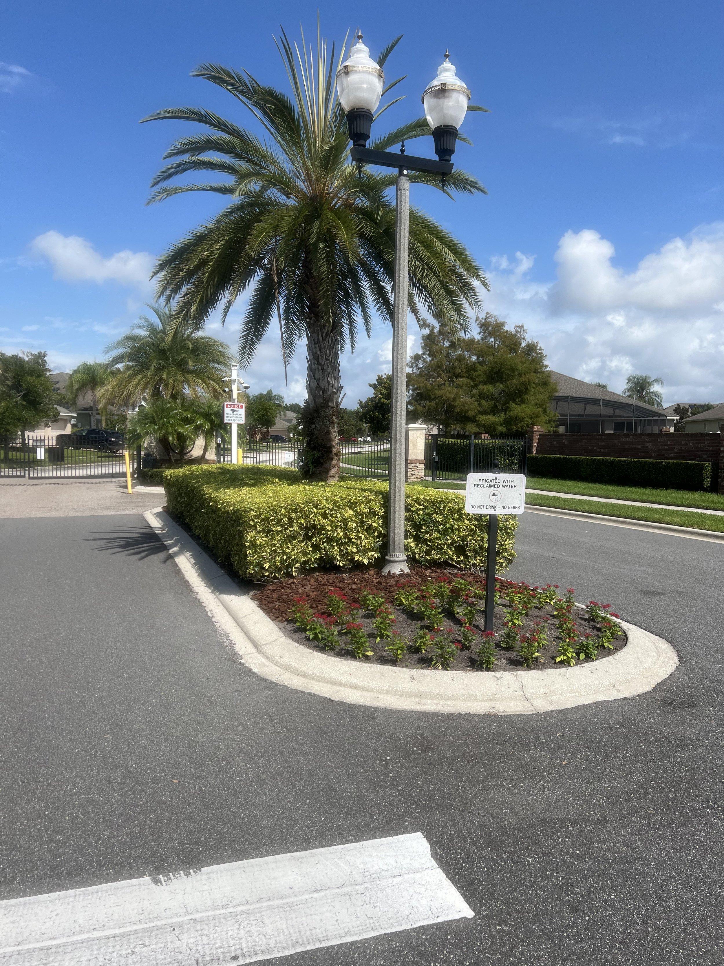 A street corner with a tall palm tree, a decorative street lamp, and a small landscaped island with flowers and bushes. Houses and trees are visible in the background under a blue sky with some clouds.