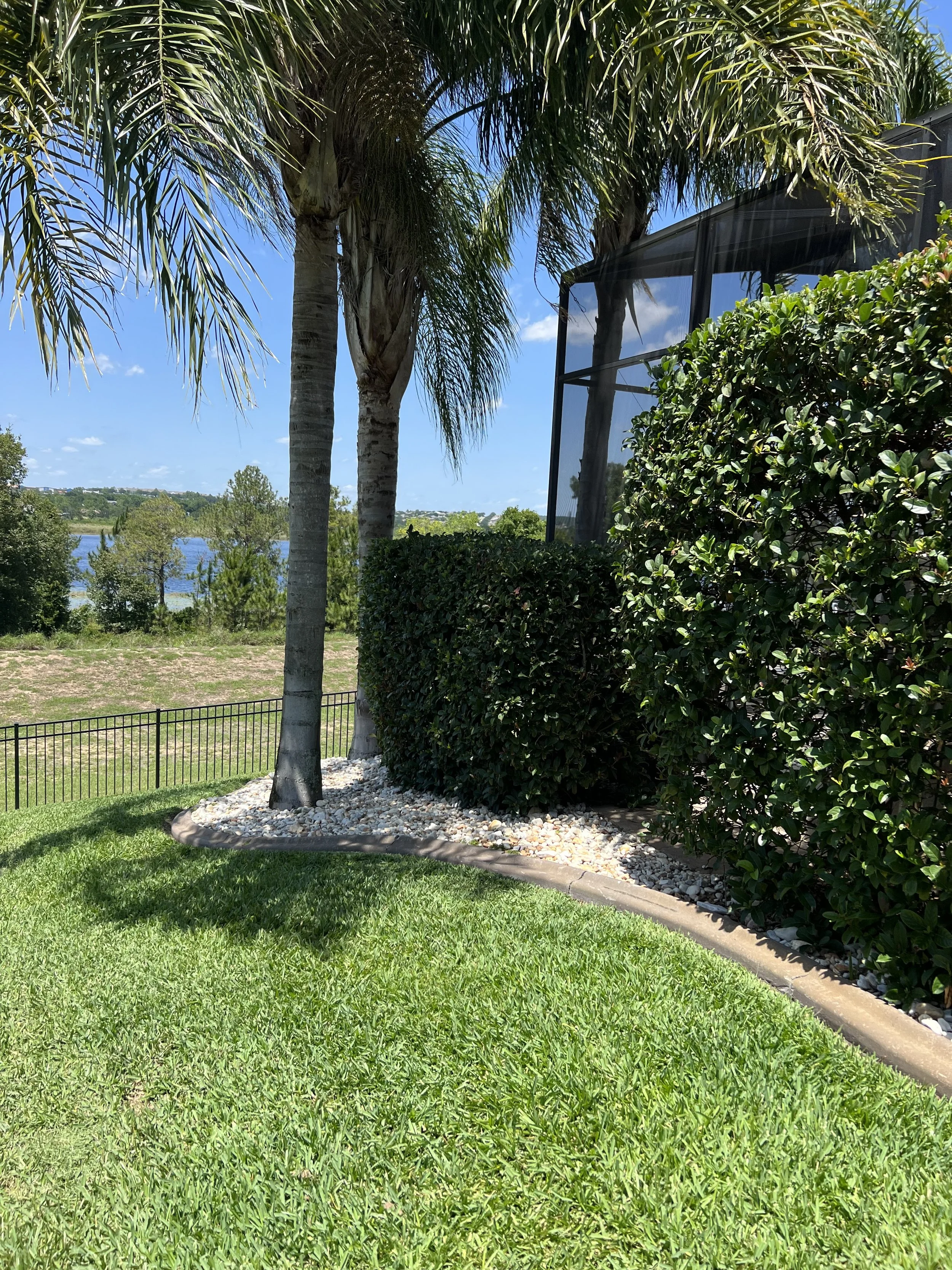 Lawn with two palm trees, a bush, a black fence, and a body of water in the distance, under a blue sky with clouds.