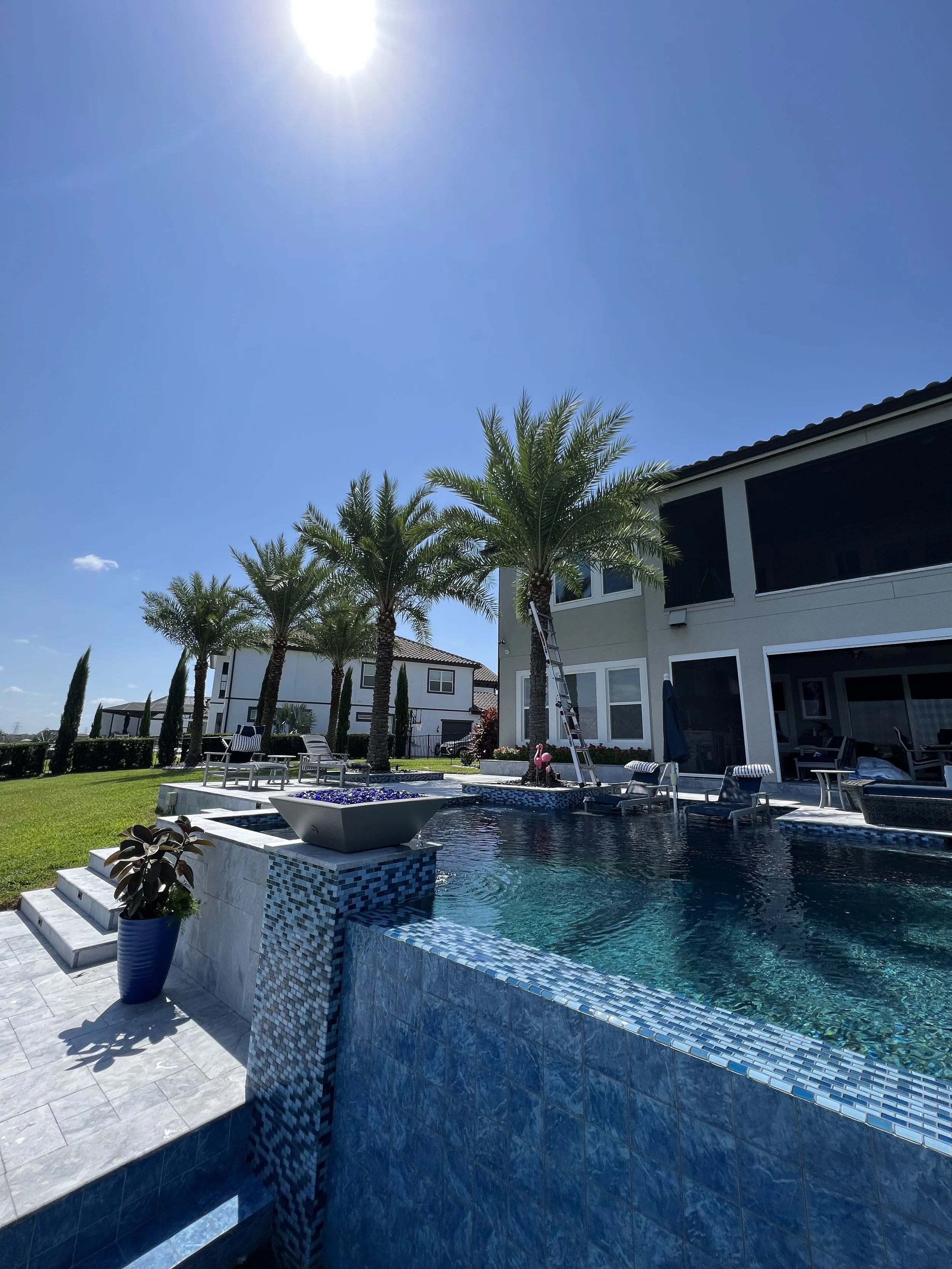 A backyard with a swimming pool, tall palm trees, outdoor furniture, and a house with a balcony under a clear blue sky and bright sun.