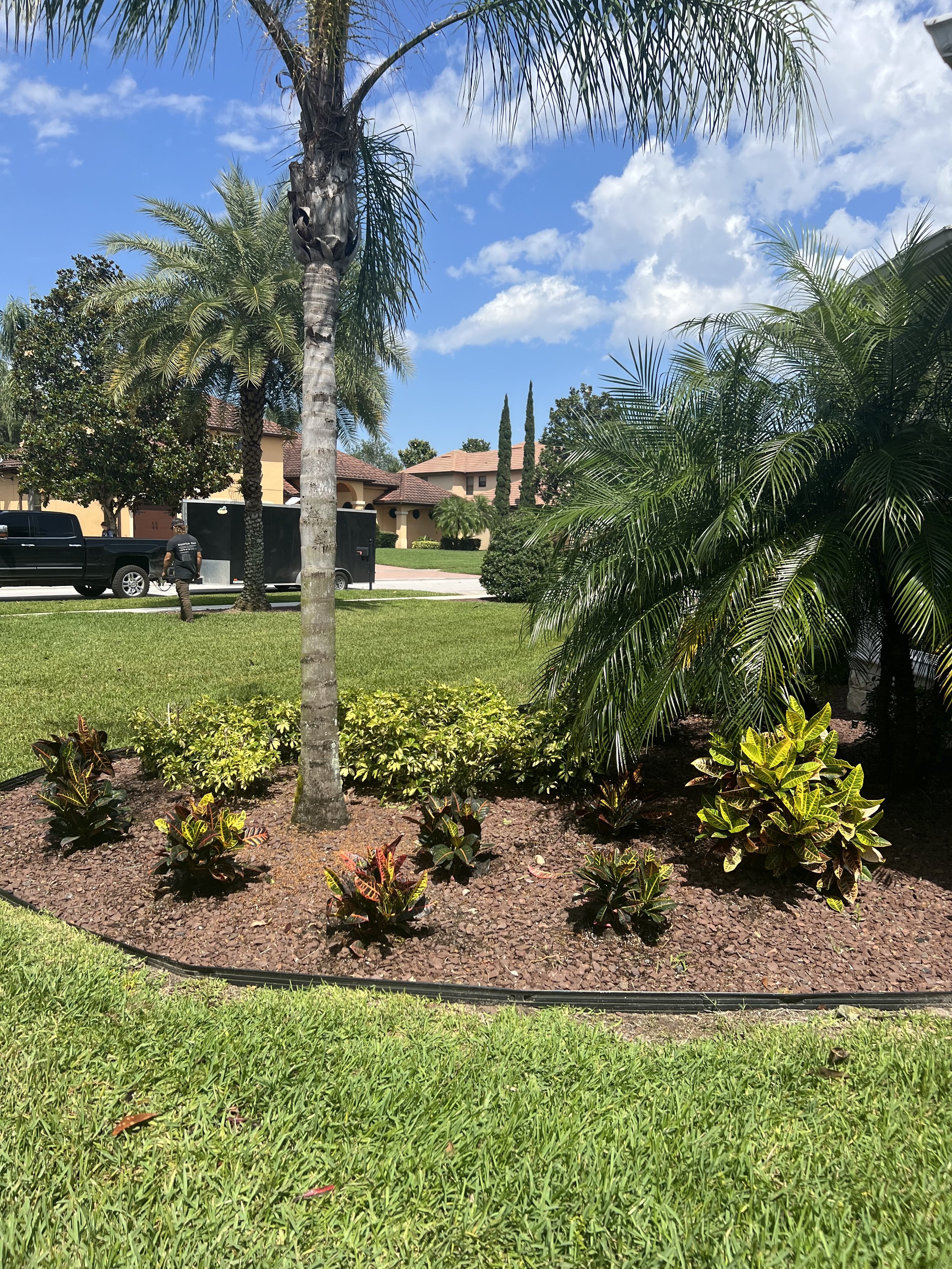A landscaped front yard with tropical palm trees, smaller bushes, and flowers, in front of a residential home with a red tile roof. Clear blue sky with some clouds overhead.