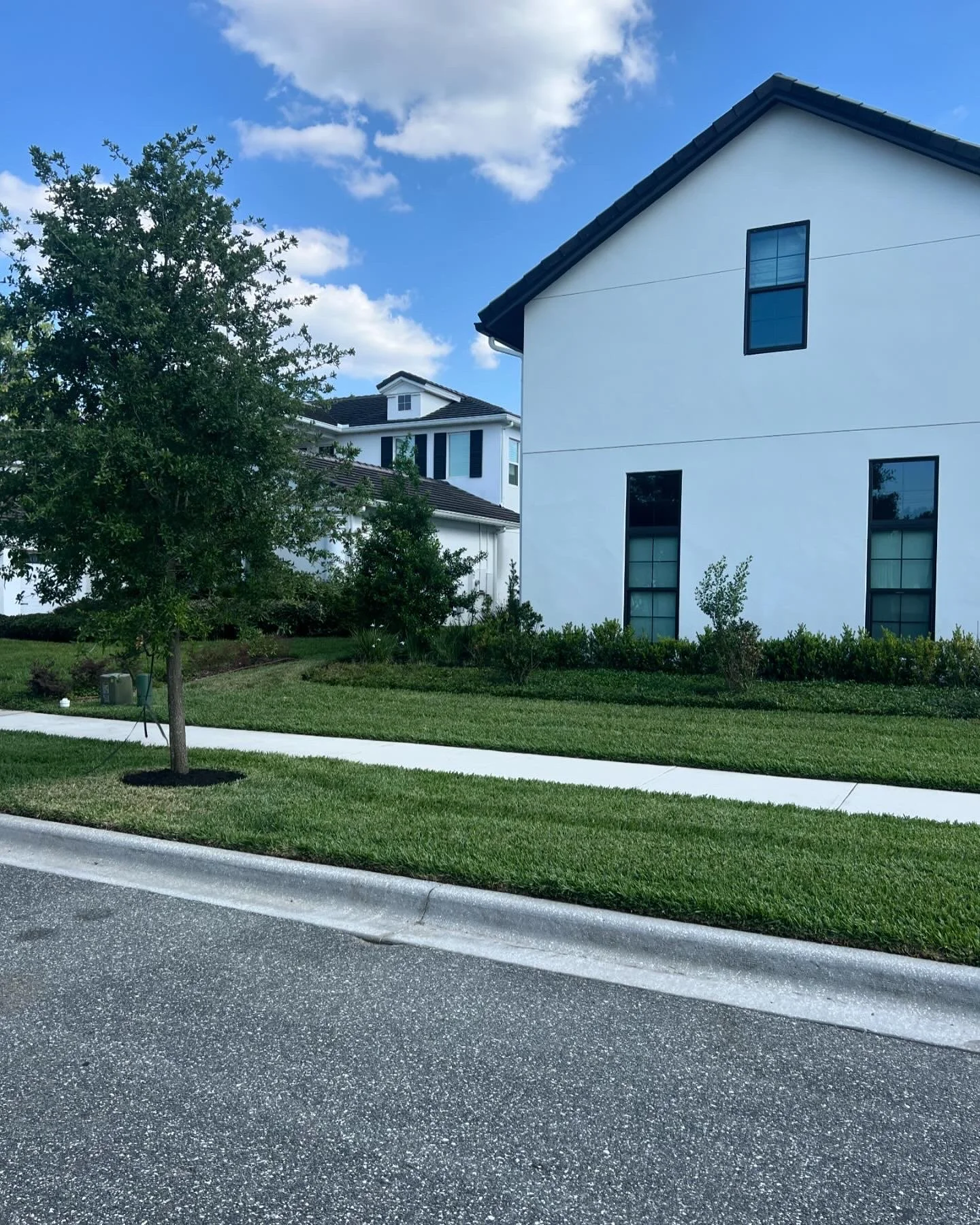 A suburban residential street with a white modern house, green lawn, young tree, sidewalk, and asphalt road with a curb. Blue sky with some clouds.