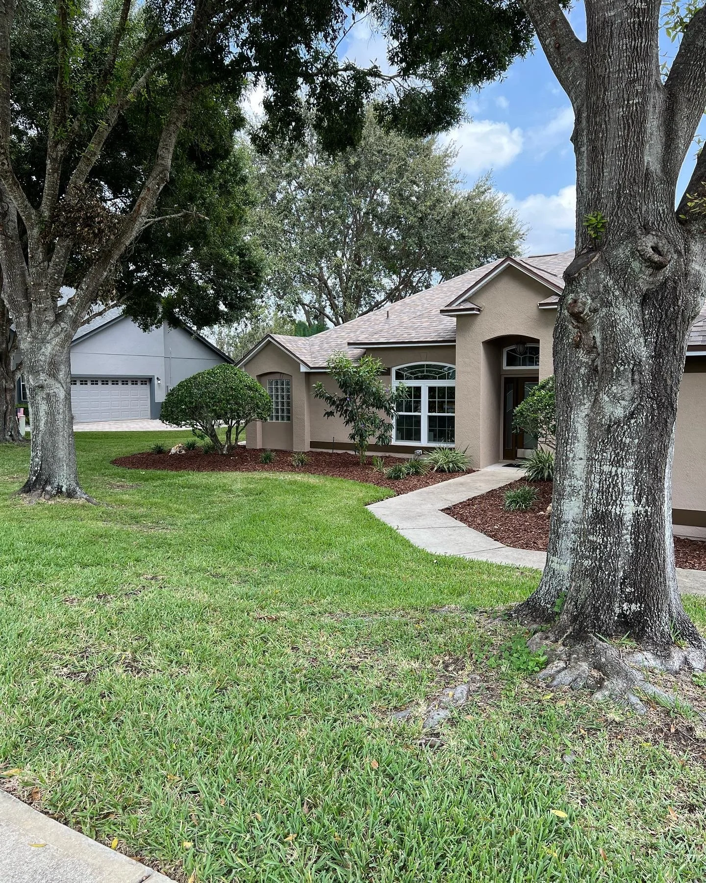Front yard of a house with a curved walkway, large trees, well-maintained grass, and shrubs.