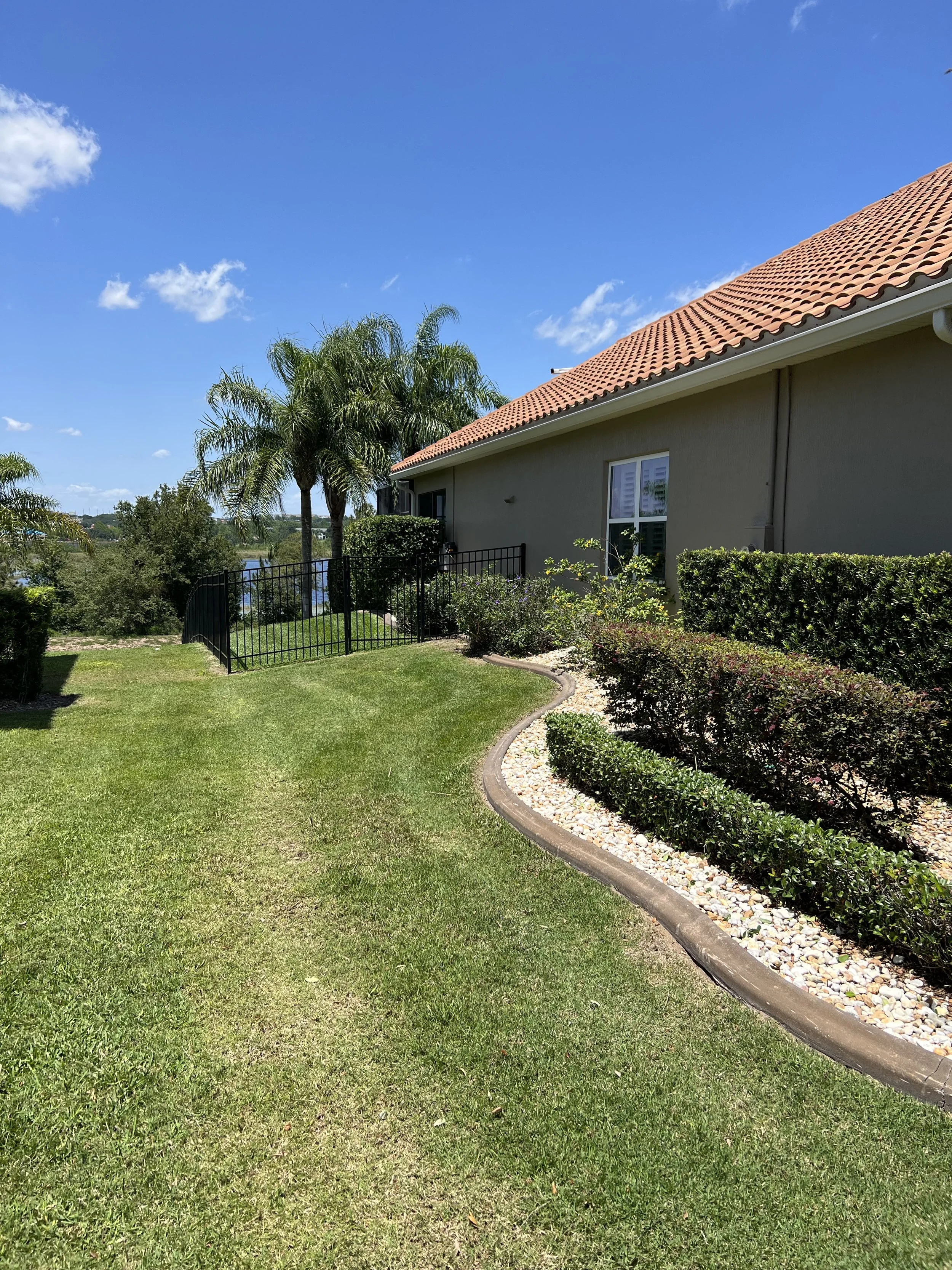 A backyard with a grassy lawn, bushes, a garden bed with white gravel, palm trees, and a house with a tiled roof under a bright blue sky with a few clouds.