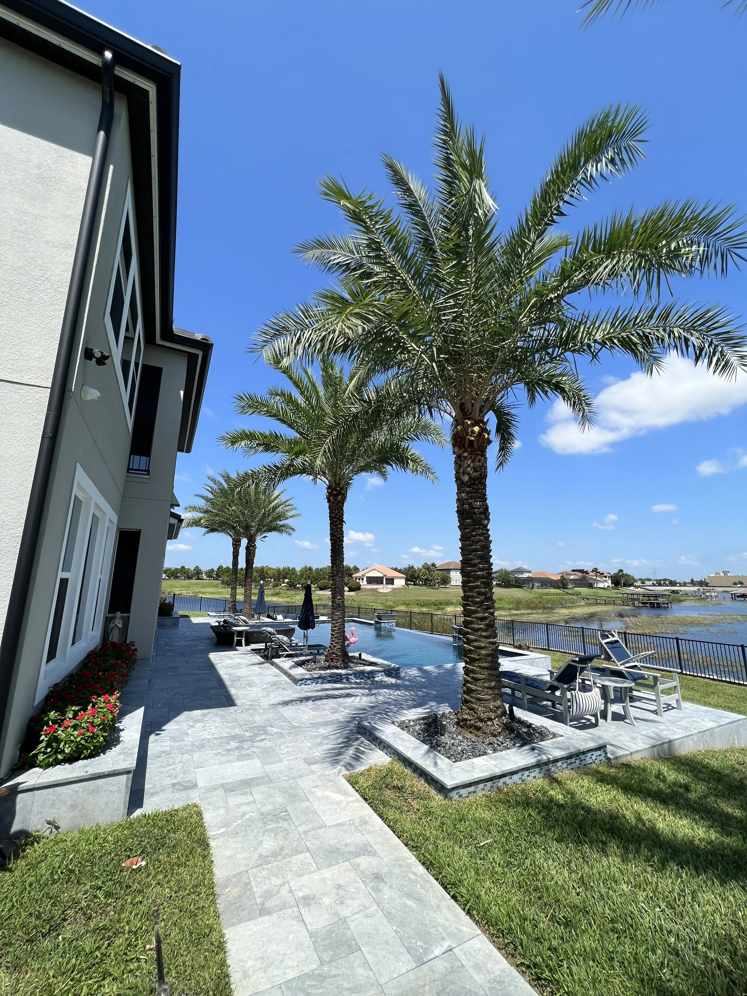 A backyard patio with palm trees, a swimming pool, lounge chairs, and a view of a river with houses in the distance under a clear blue sky.