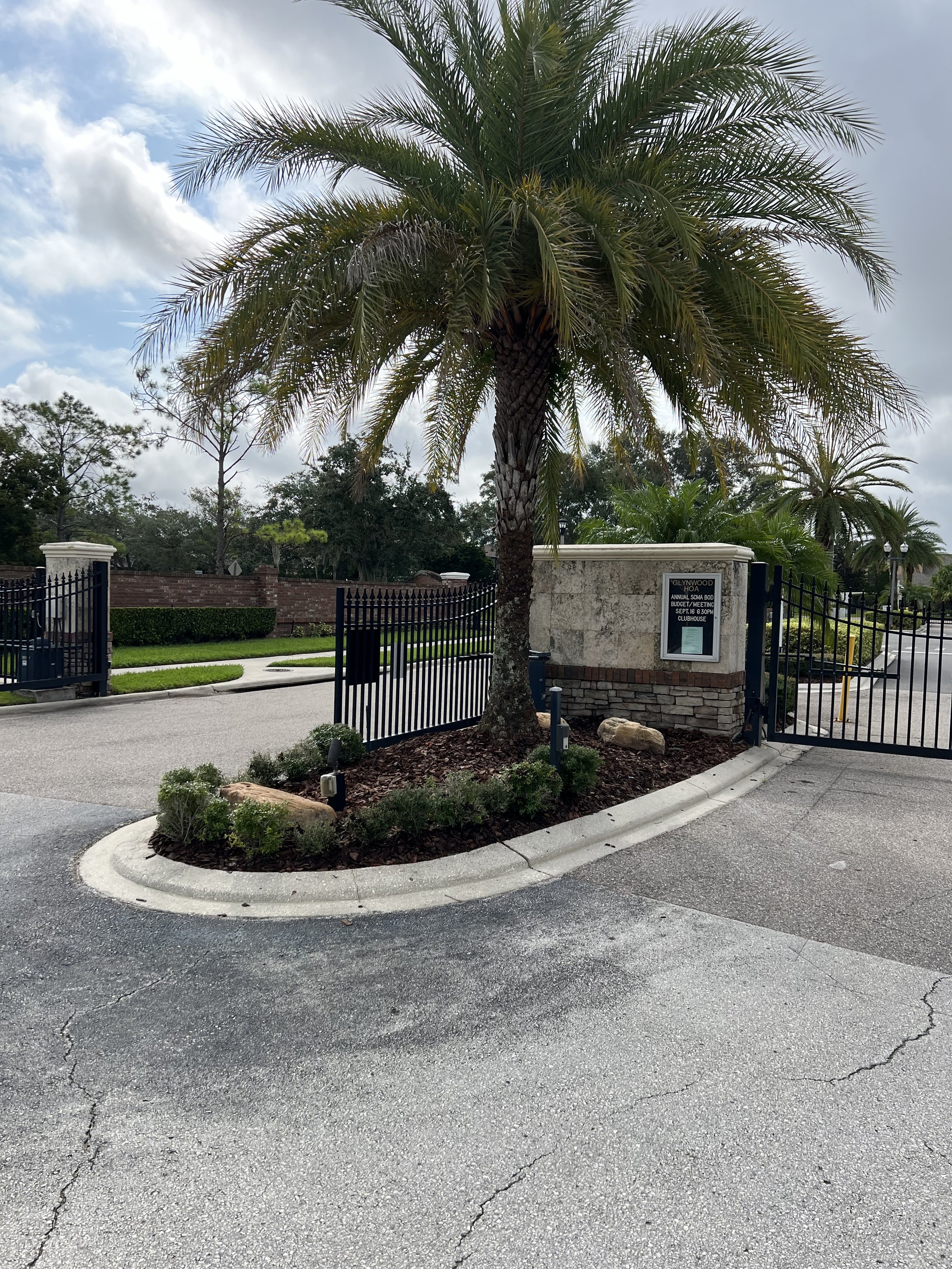 A large palm tree in a small circular garden bed with rocks and greenery, surrounded by a parking lot with cracks in the asphalt. A signboard near the tree indicates it is at Glynwood HOA, with information about an annual budget meeting.
