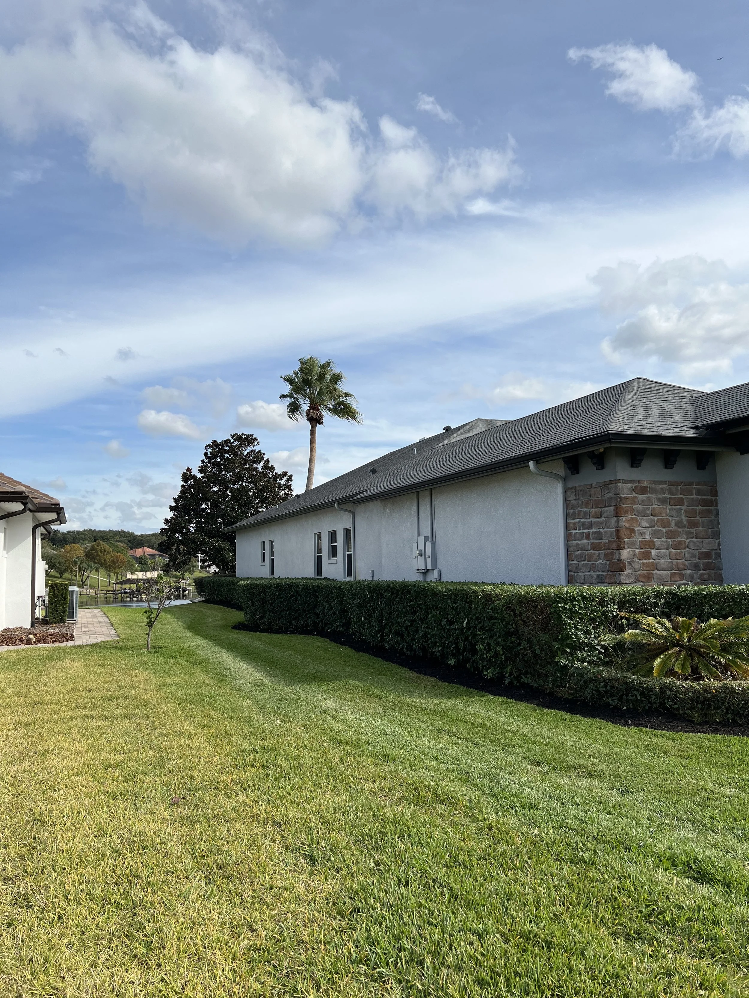 A backyard scene featuring a well-maintained grassy lawn, a trimmed hedge, a paved pathway, a white house with brick accents, and tall trees including a palm tree, with a blue sky and clouds overhead.