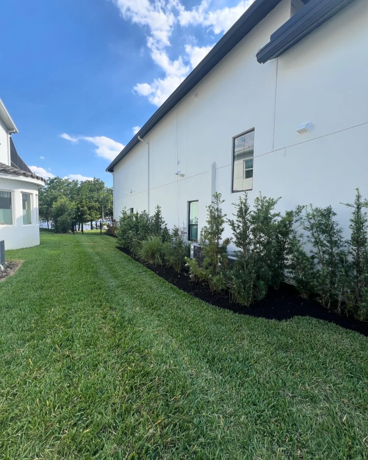 A backyard with a well-maintained green lawn, a white house with windows, and a garden bed with shrubs and plants under a partly cloudy blue sky.