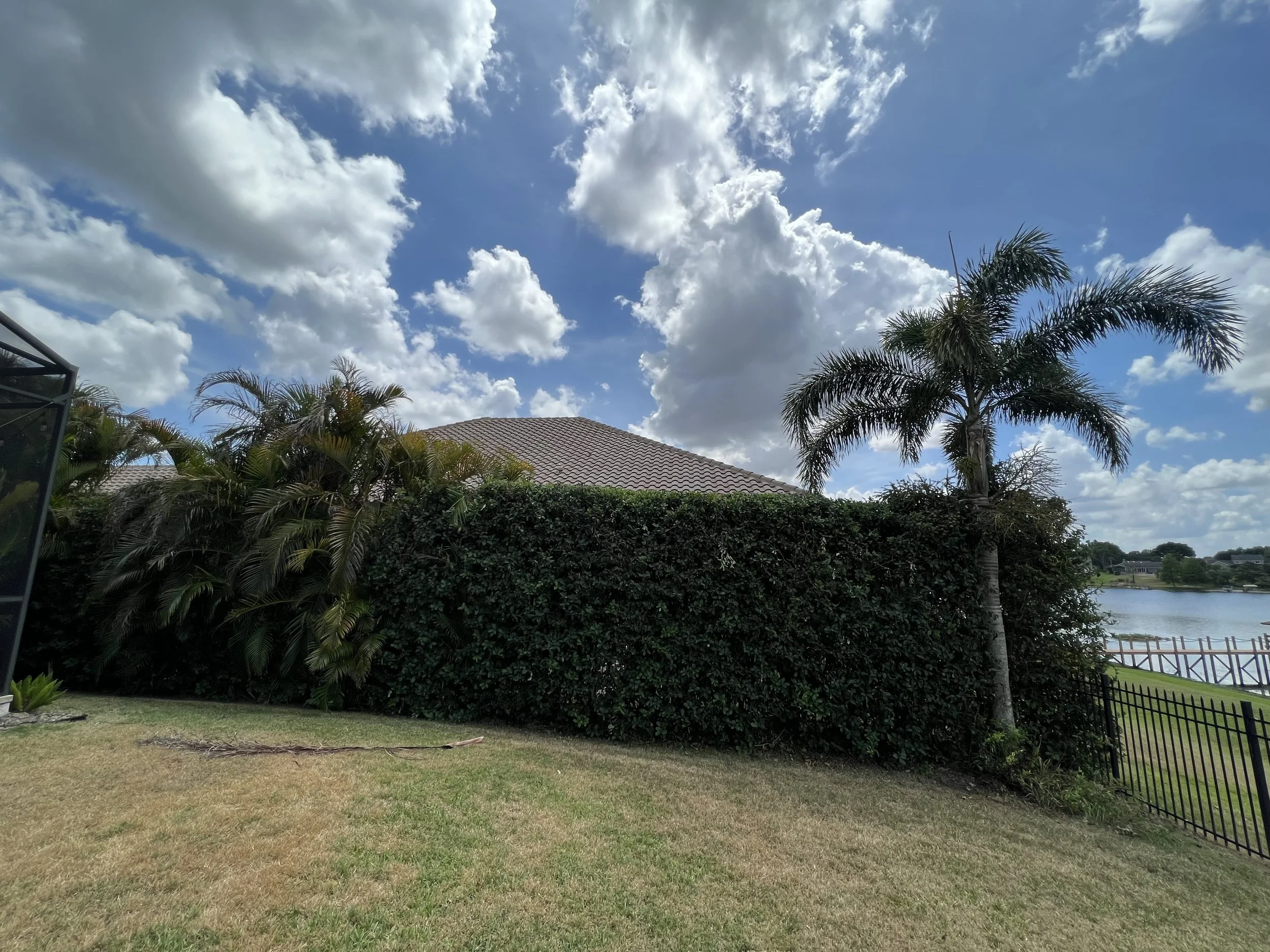 Clear blue sky with white clouds, palm trees, house roof, and a fenced yard near a lake.