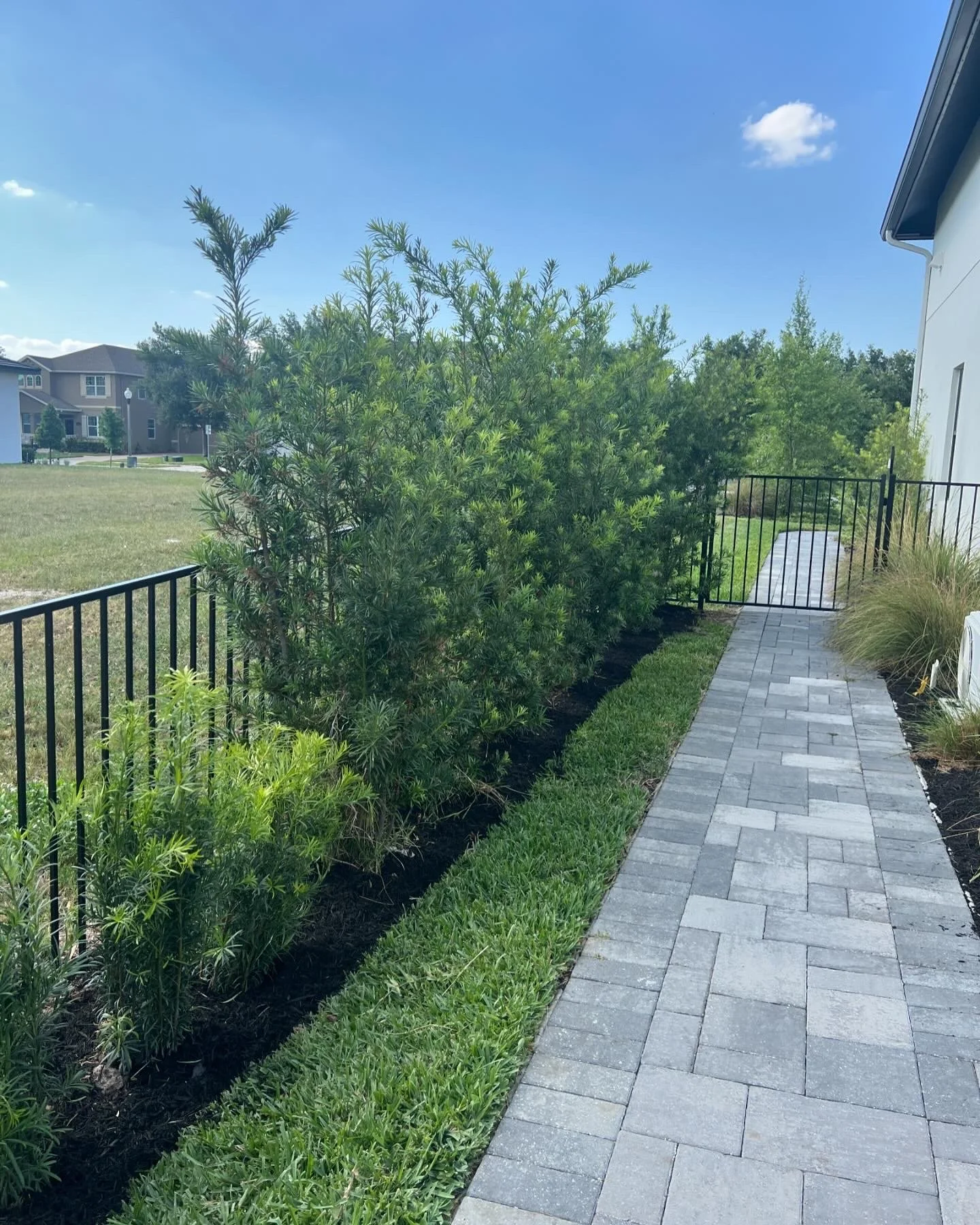 A paved walkway next to a black metal fence, with lush green bushes and grass on either side, leading to a gate. There are modern houses and trees in the background under a blue sky with scattered clouds.