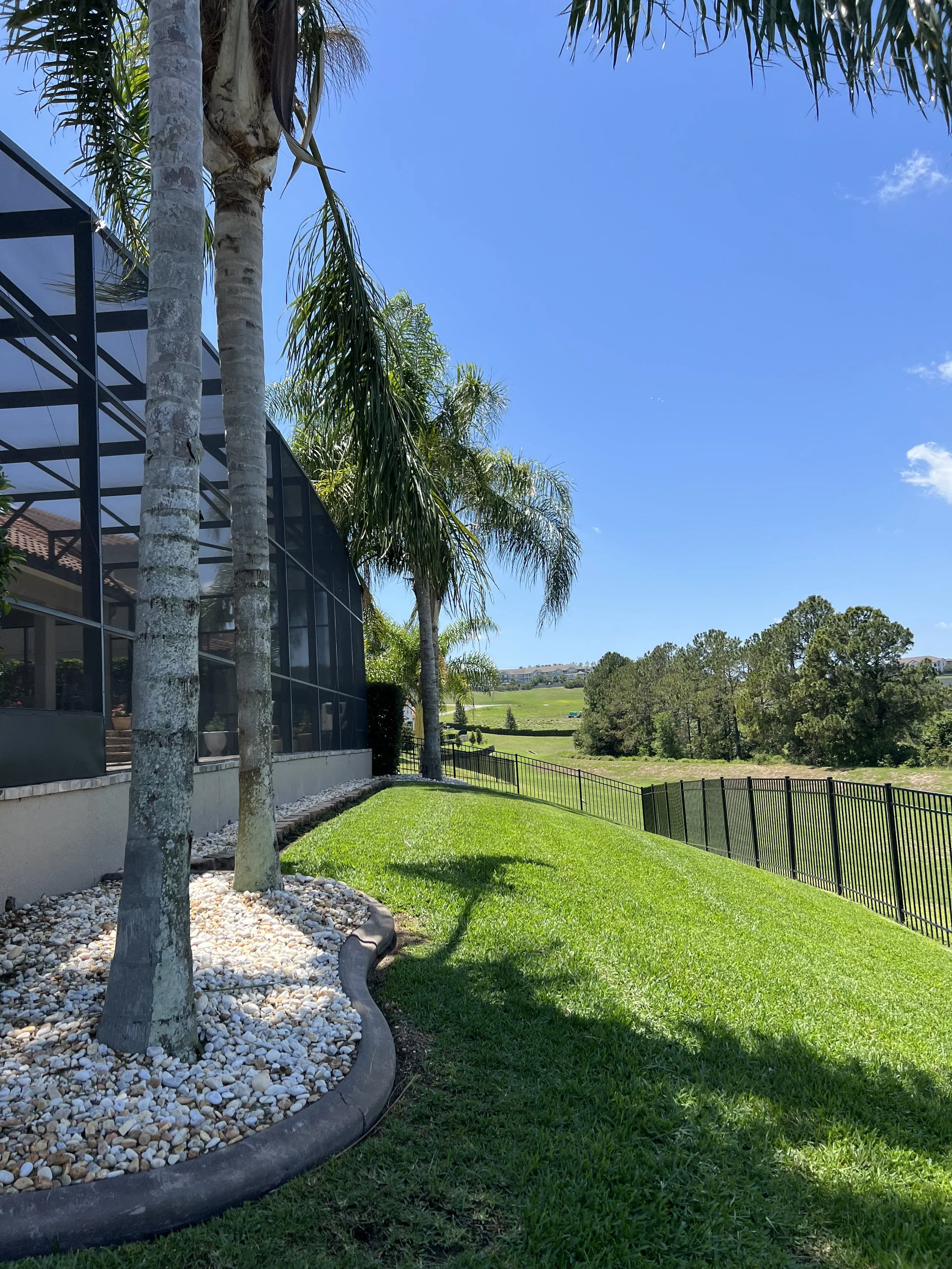 A landscaped yard with a green lawn, palm trees, and a black metal fence. A modern building with large glass windows is partially visible on the left. The background shows a clear blue sky and distant trees.