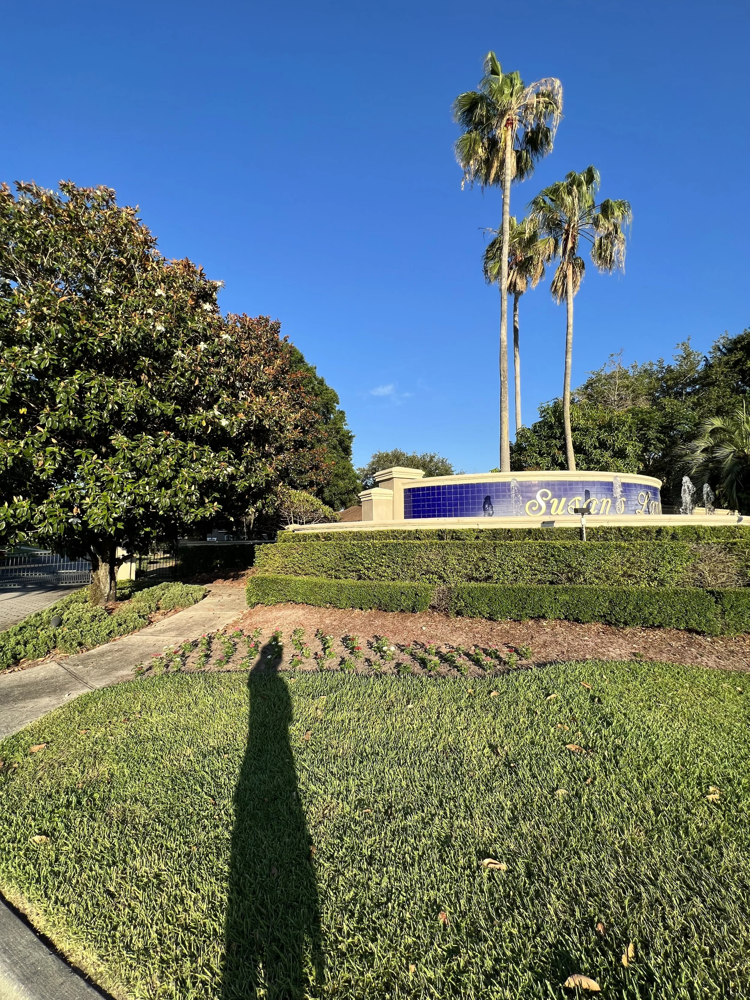 A landscaped area with a hedge, flower bed, and a fountain display with the words "Susan James" in yellow, in front of tall palm trees and a clear blue sky.